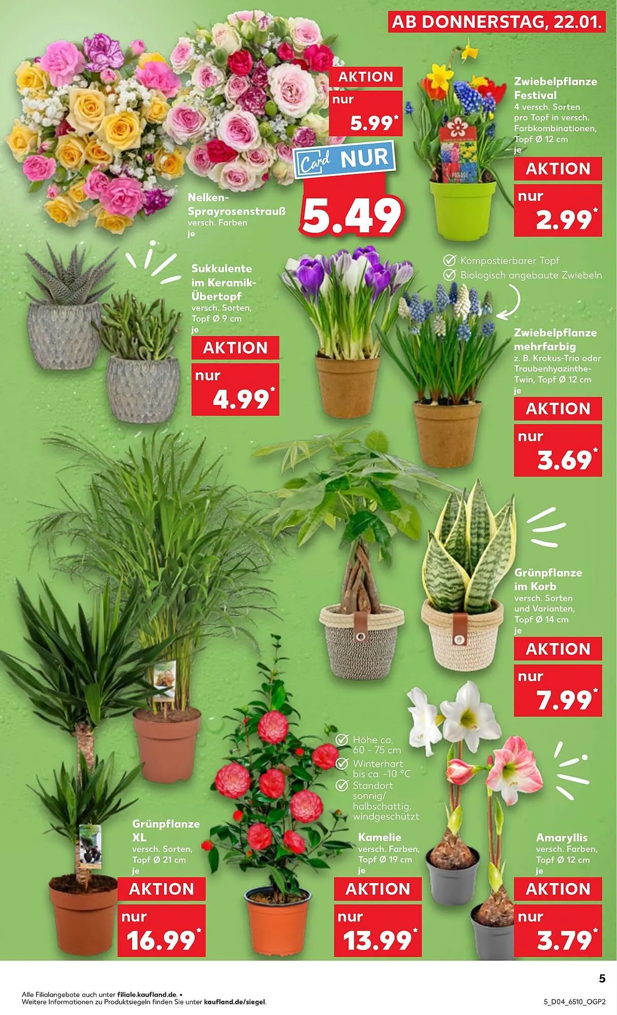 Kaufland Prospekt von 22. Januar bis 28. Januar 2026 - Prospekt seite 5