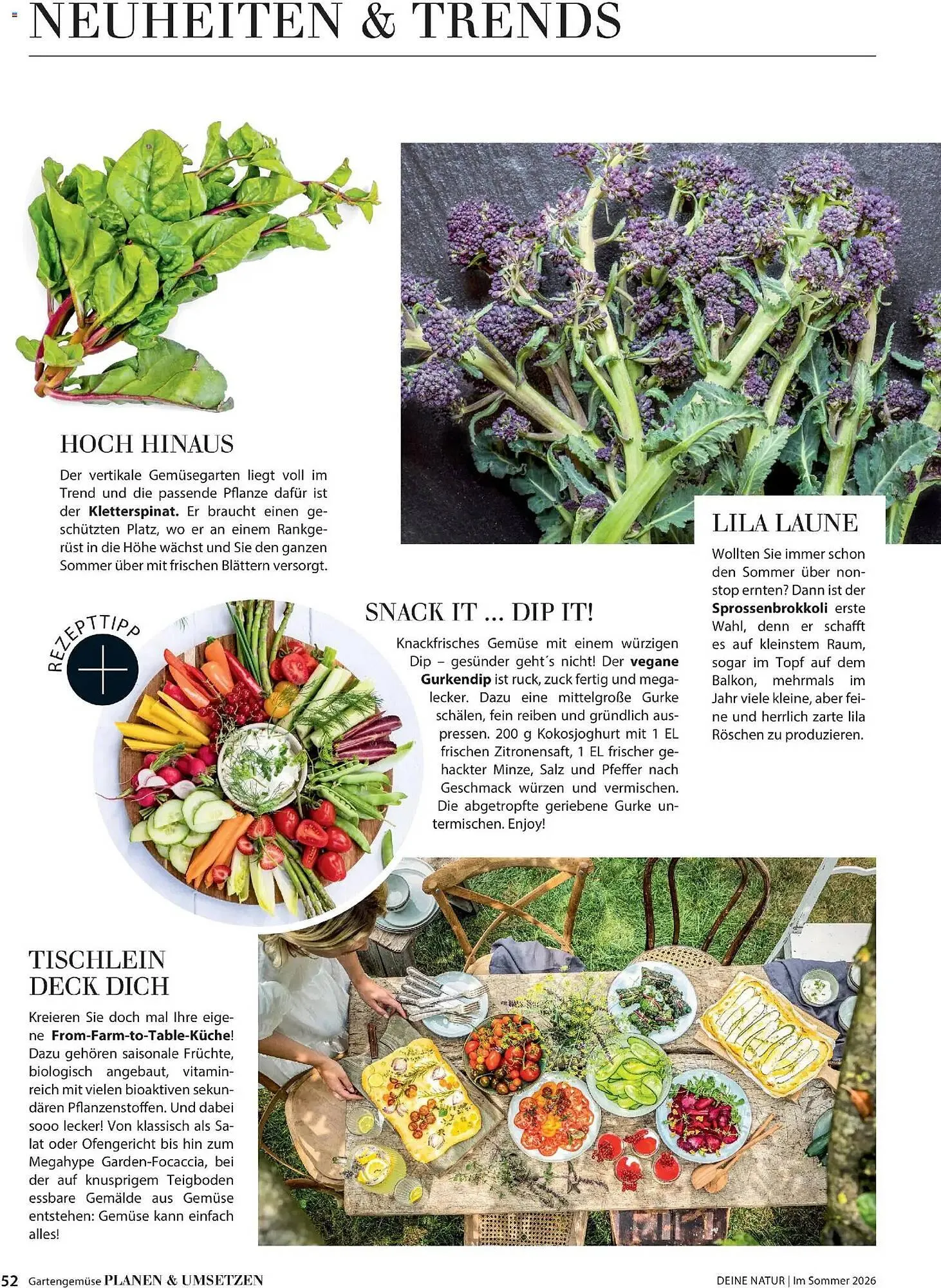 Dehner Prospekt von 17. April bis 31. August 2026 - Prospekt seite 52