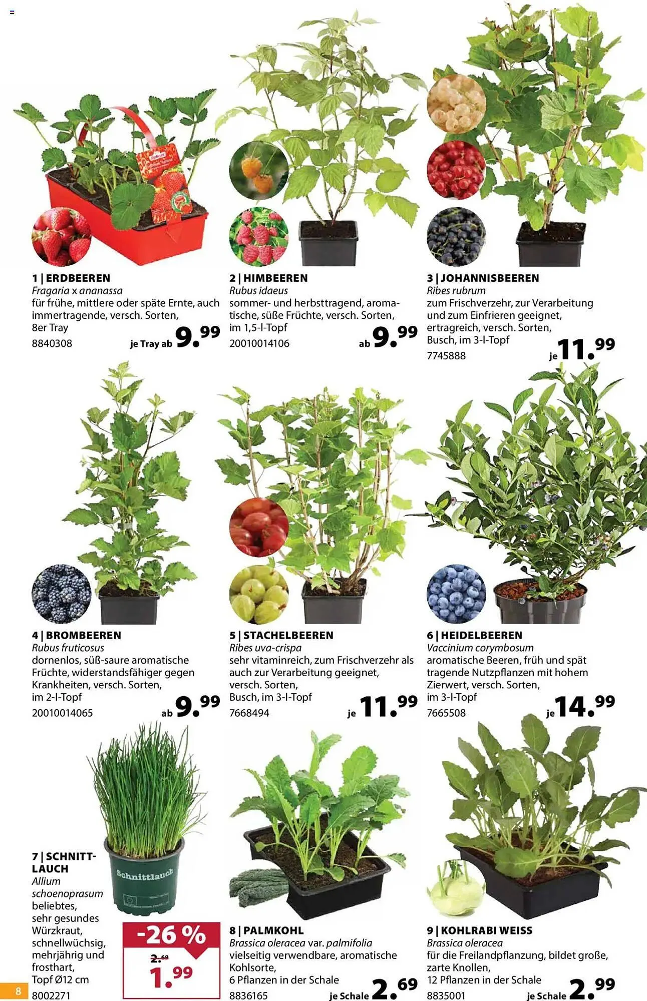 Dehner Prospekt von 23. April bis 28. April 2025 - Prospekt seite 8