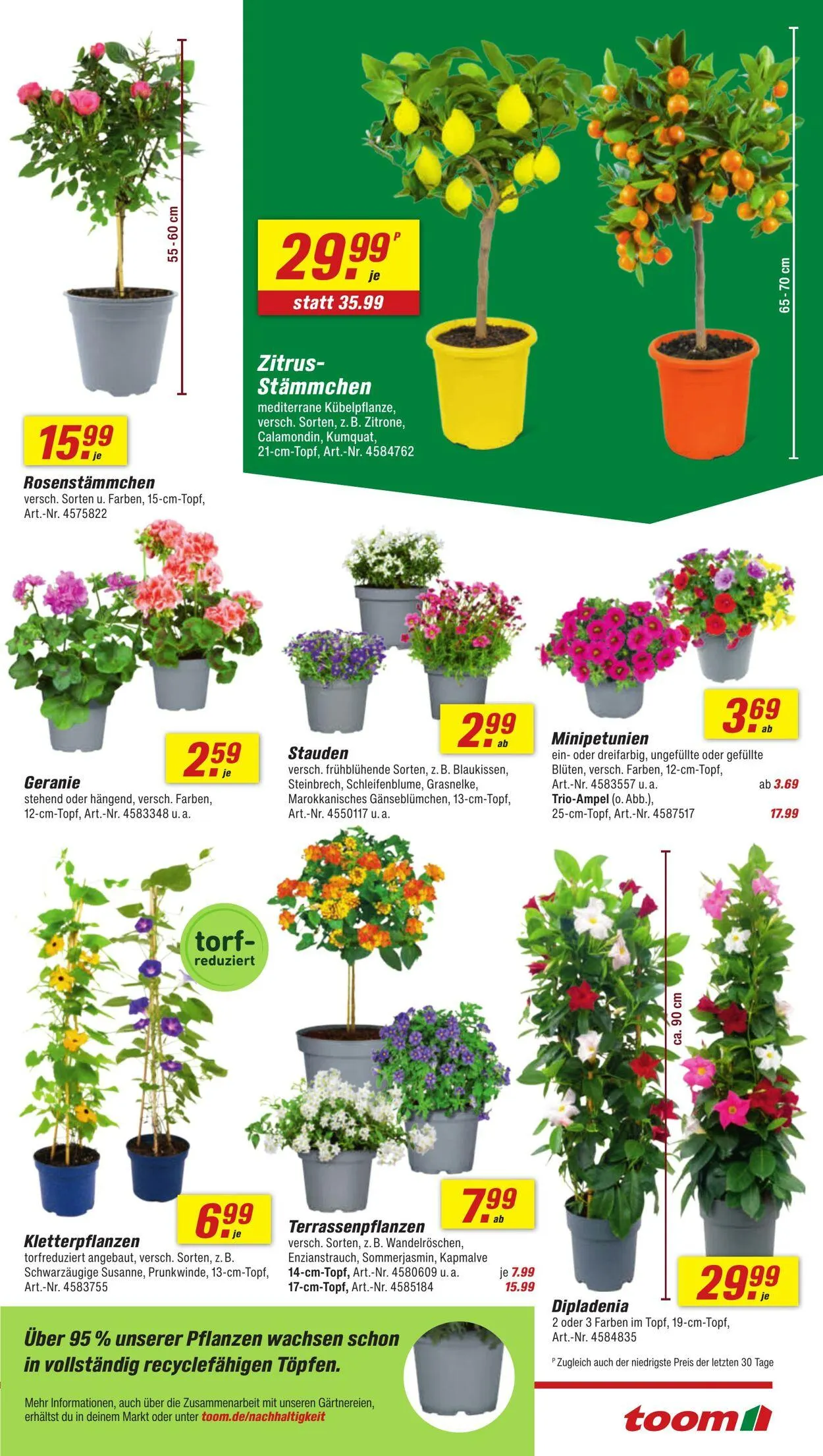 toom Baumarkt Aktueller Prospekt von 18. August bis 1. September 2025 - Prospekt seite 5