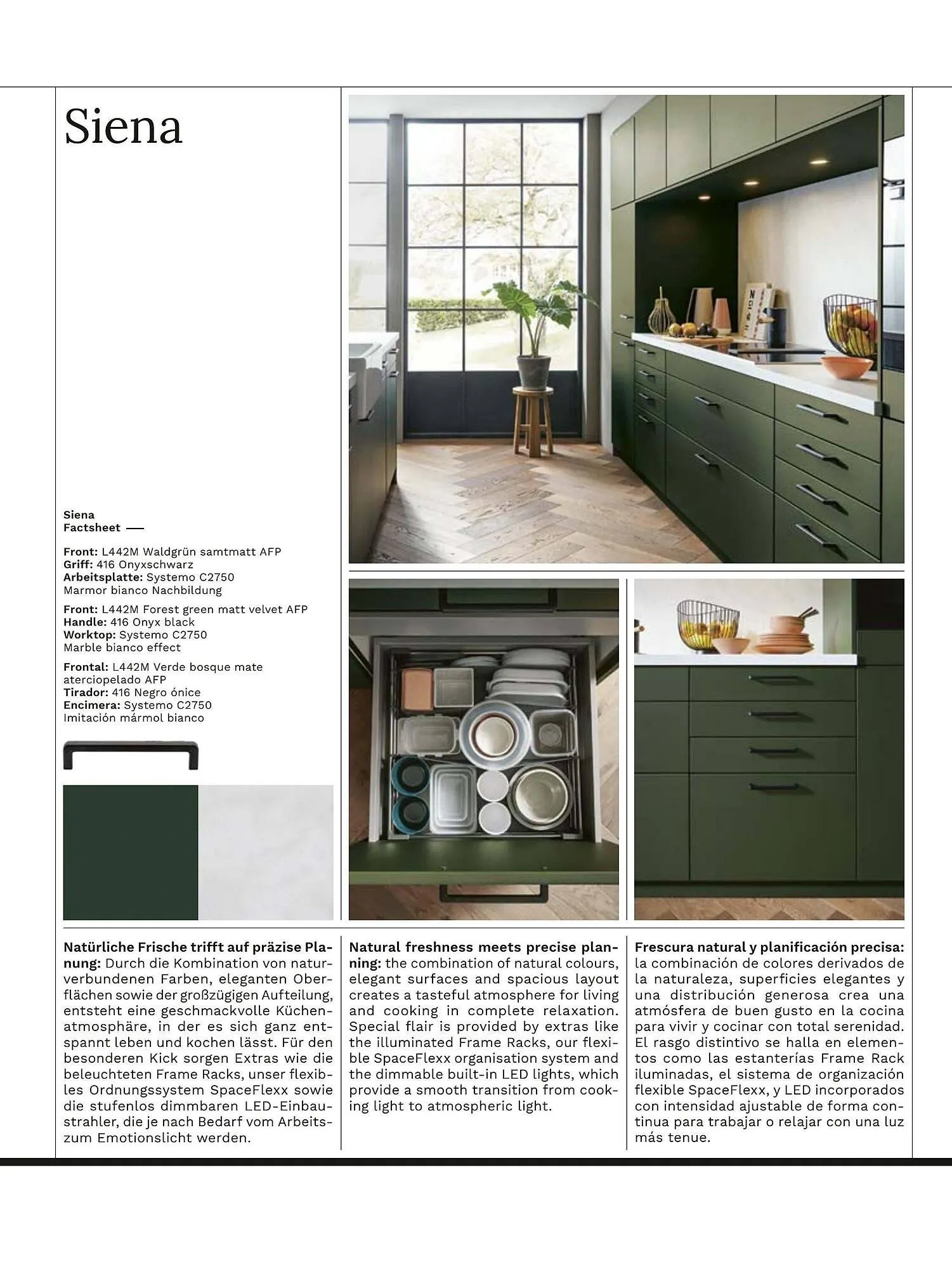 Wiethoff Prospekt von 13. März bis 26. März 2025 - Prospekt seite 31