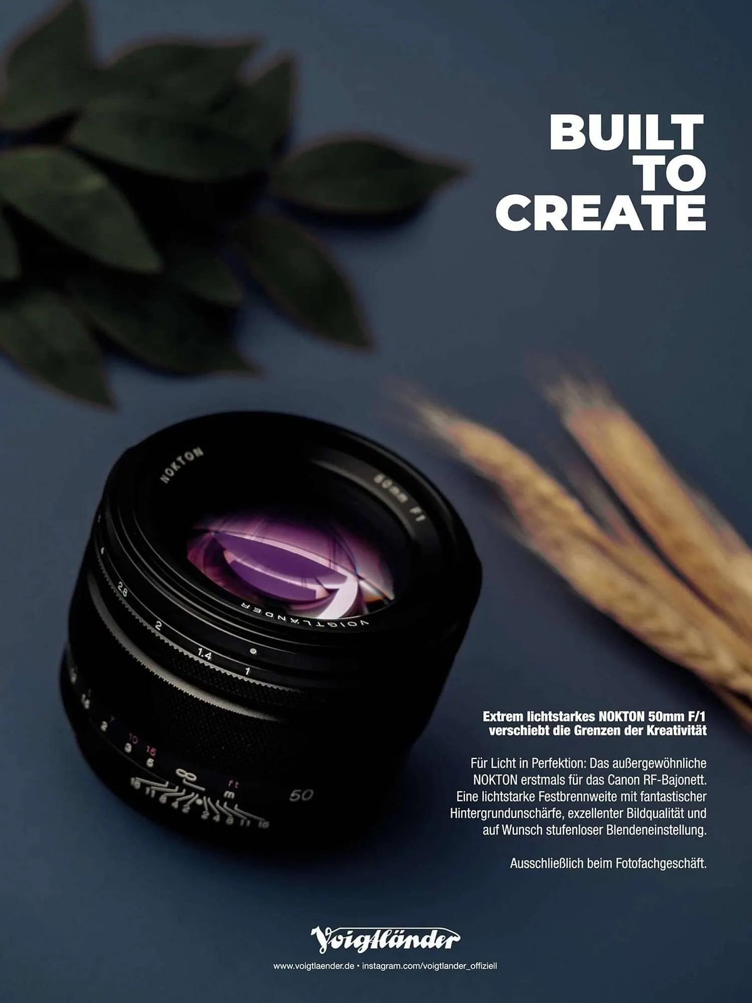 Ringfoto Prospekt von 1. März bis 30. April 2025 - Prospekt seite 2