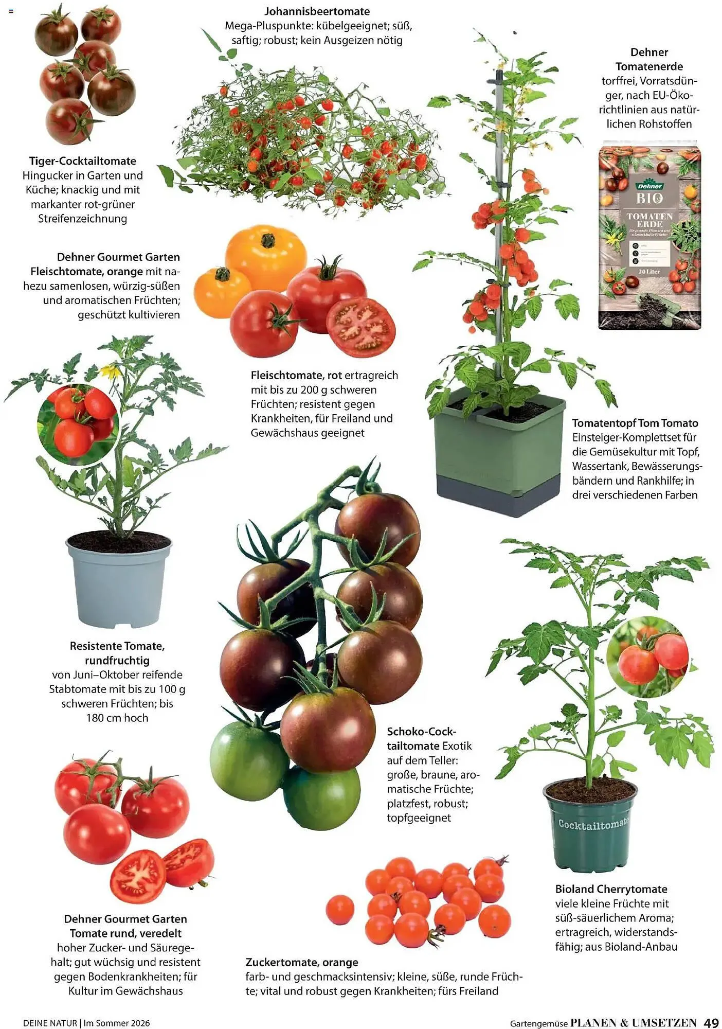 Dehner Prospekt von 17. April bis 31. August 2026 - Prospekt seite 49
