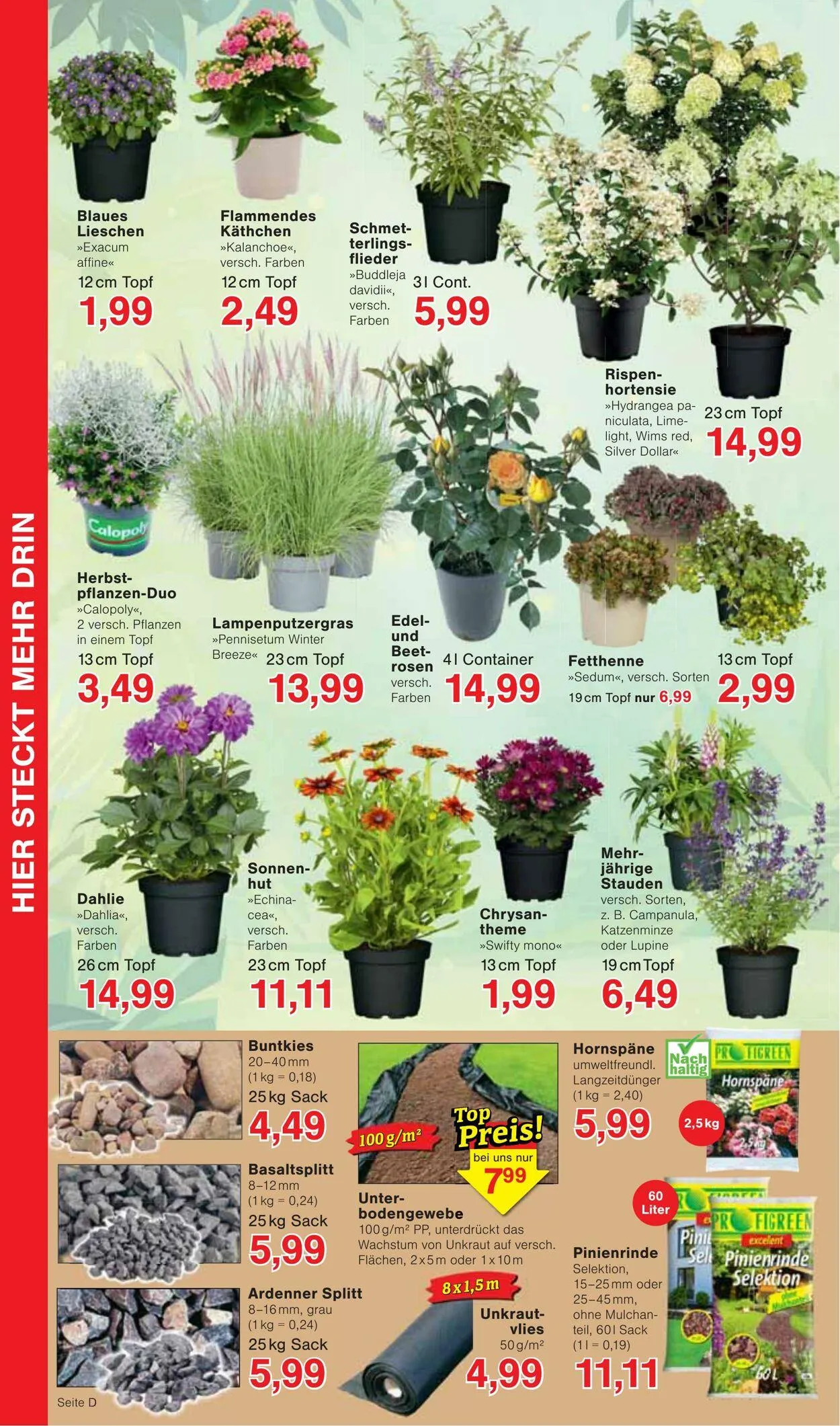 Wiglo Wunderland Aktueller Prospekt von 14. Juli bis 23. Juli 2025 - Prospekt seite 8