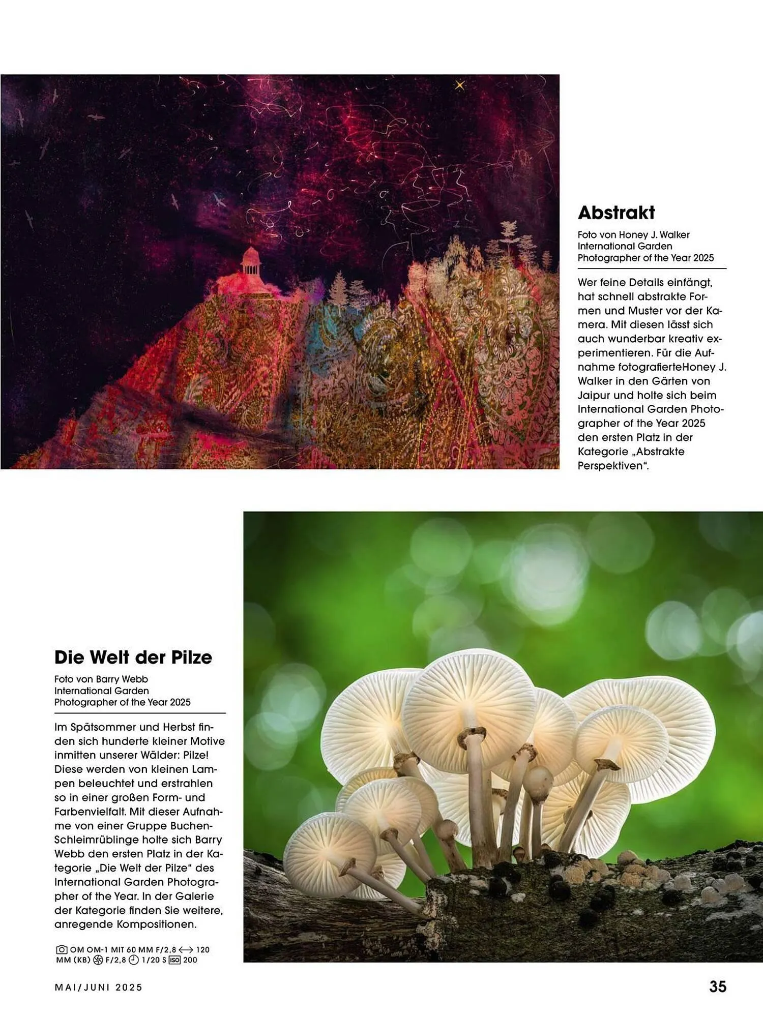 Ringfoto Prospekt von 22. Mai bis 30. Juni 2025 - Prospekt seite 35