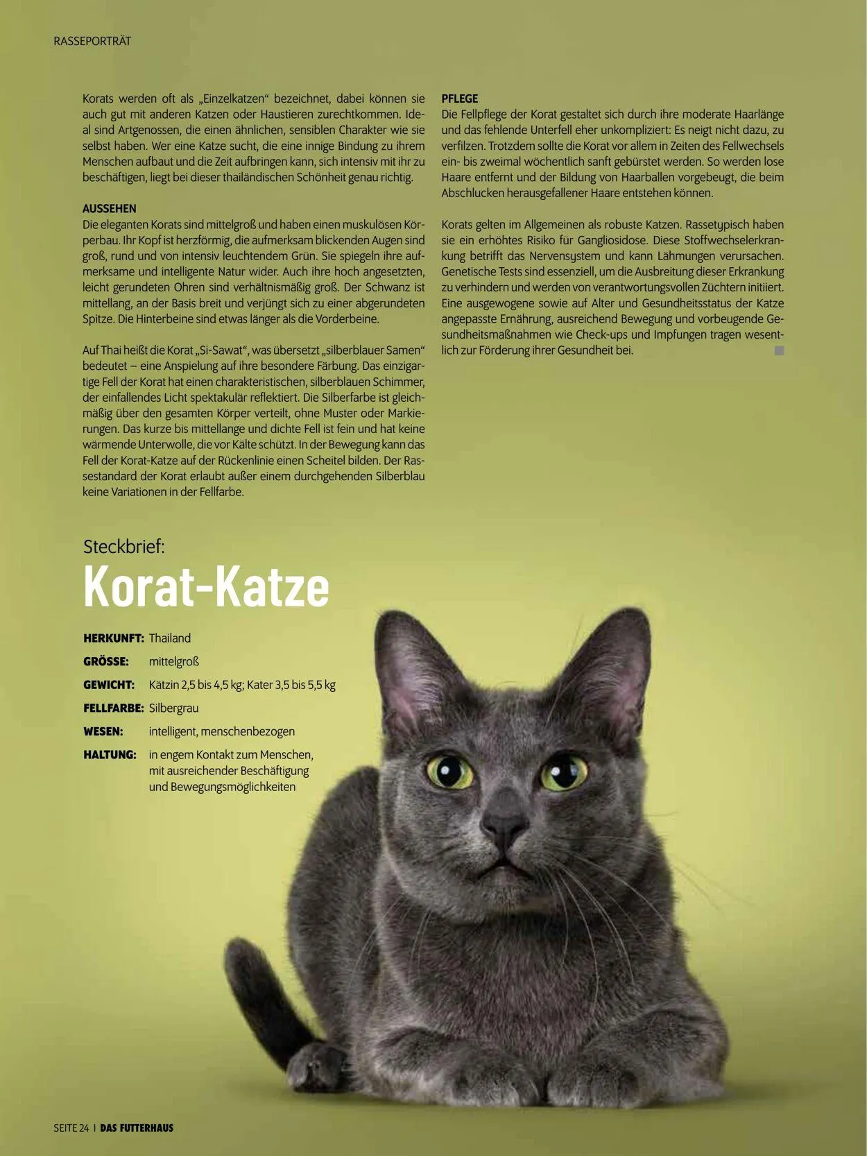 Futterhaus Aktueller Prospekt von 1. Oktober bis 31. Oktober 2025 - Prospekt seite 24