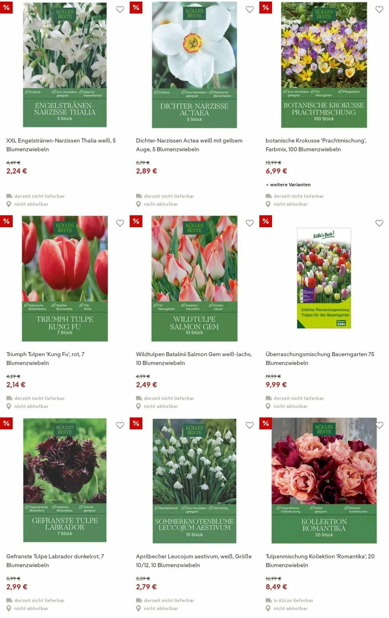 Pflanzen-Kölle Aktueller Prospekt von 15. Dezember bis 24. Dezember 2025 - Prospekt seite 13