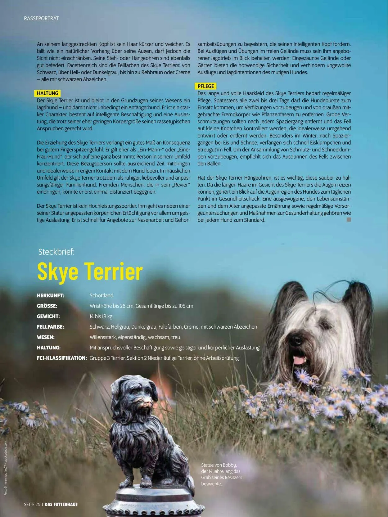 Futterhaus Aktueller Prospekt von 1. August bis 31. August 2025 - Prospekt seite 24