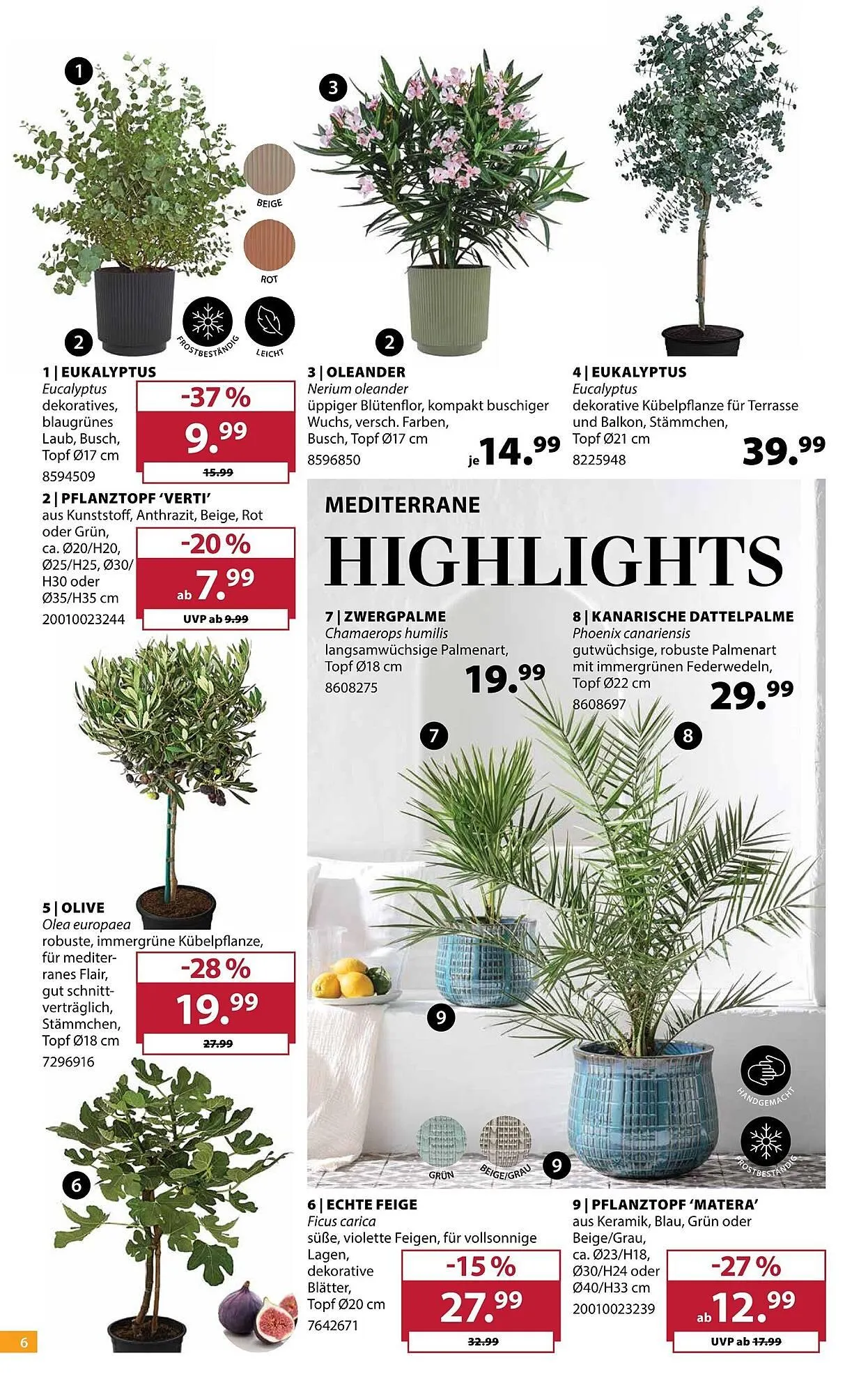 Dehner Prospekt von 8. April bis 13. April 2026 - Prospekt seite 6