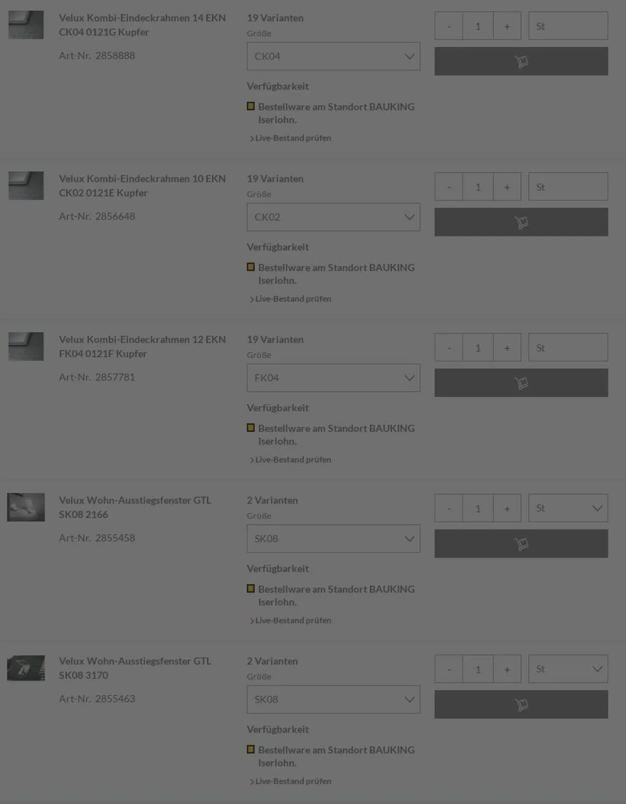 Bauking von 30. Juni bis 9. Juli 2025 - Prospekt seite 19