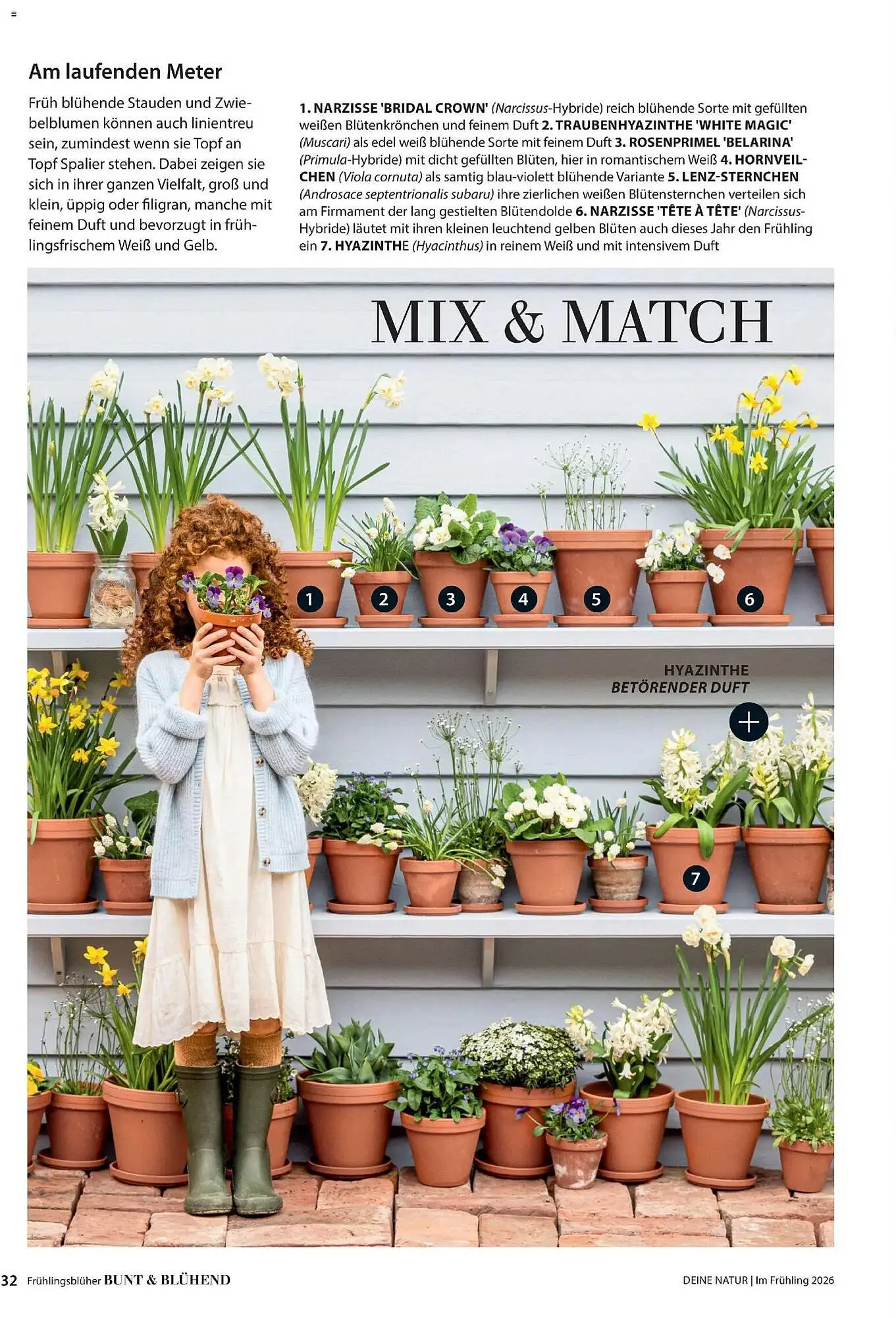 Dehner Prospekt von 4. März bis 31. Mai 2026 - Prospekt seite 32