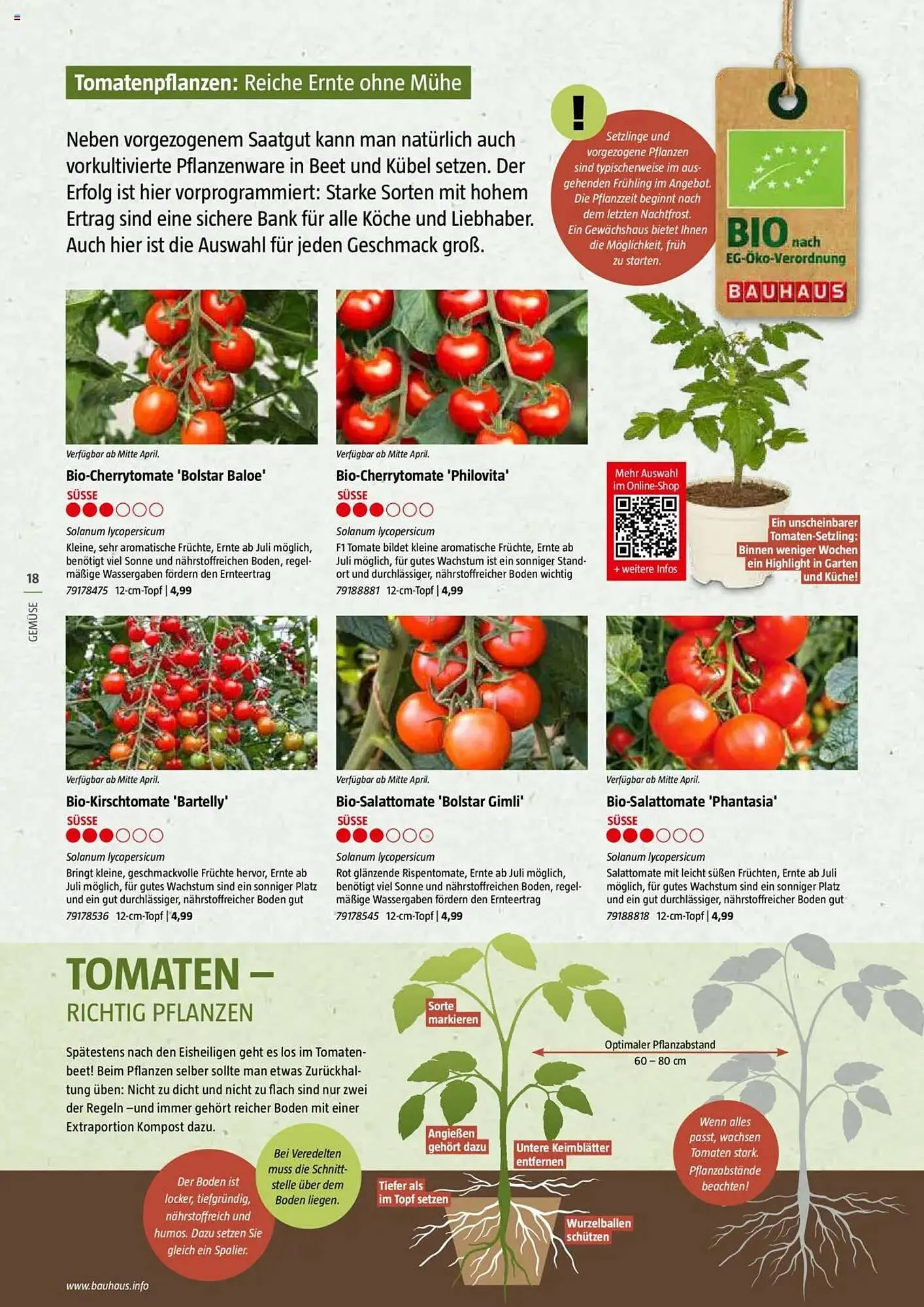 Bauhaus Prospekt von 20. Januar bis 30. Juni 2025 - Prospekt seite 18