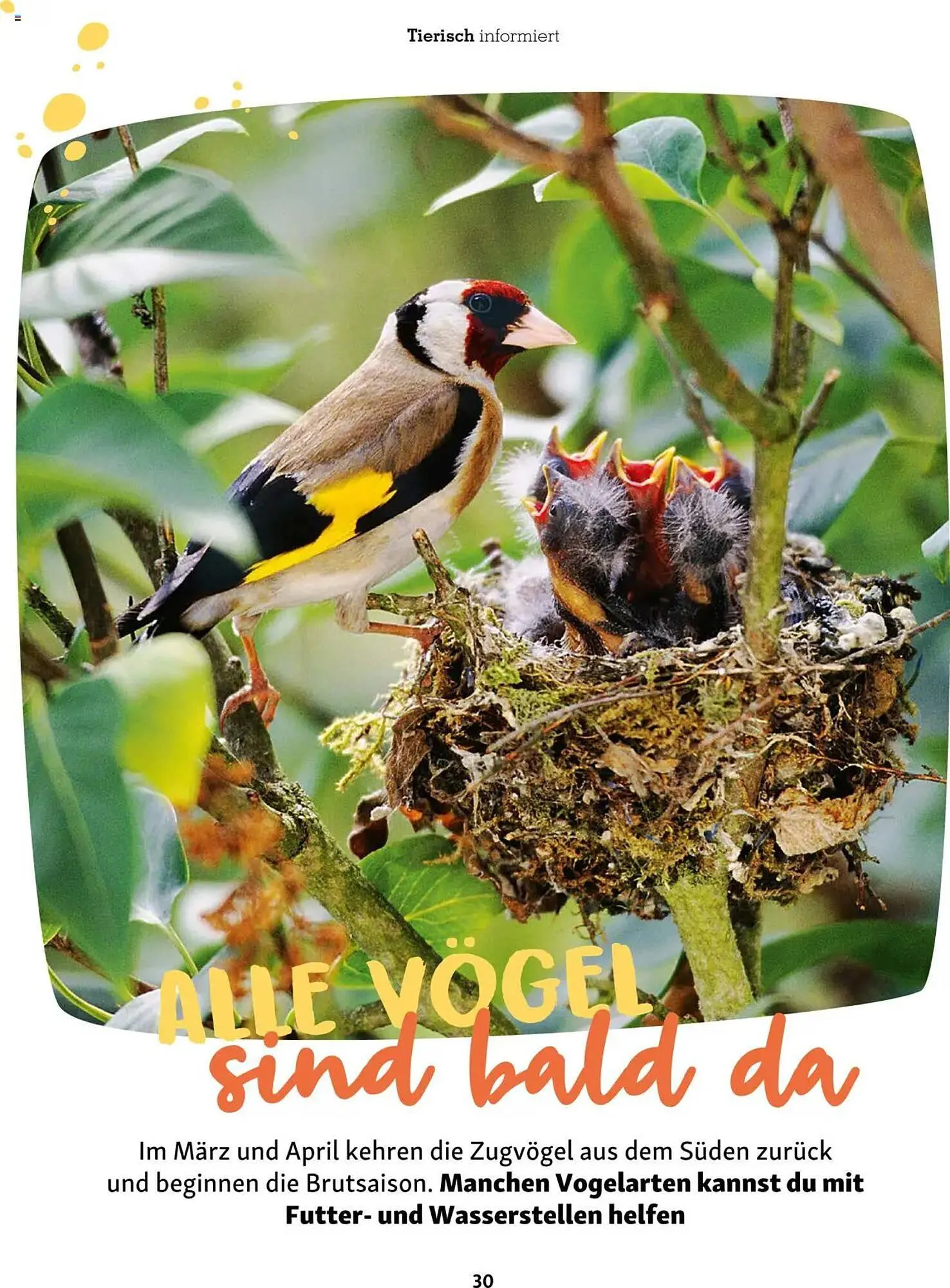 Fressnapf Prospekt von 1. März bis 30. April 2025 - Prospekt seite 30