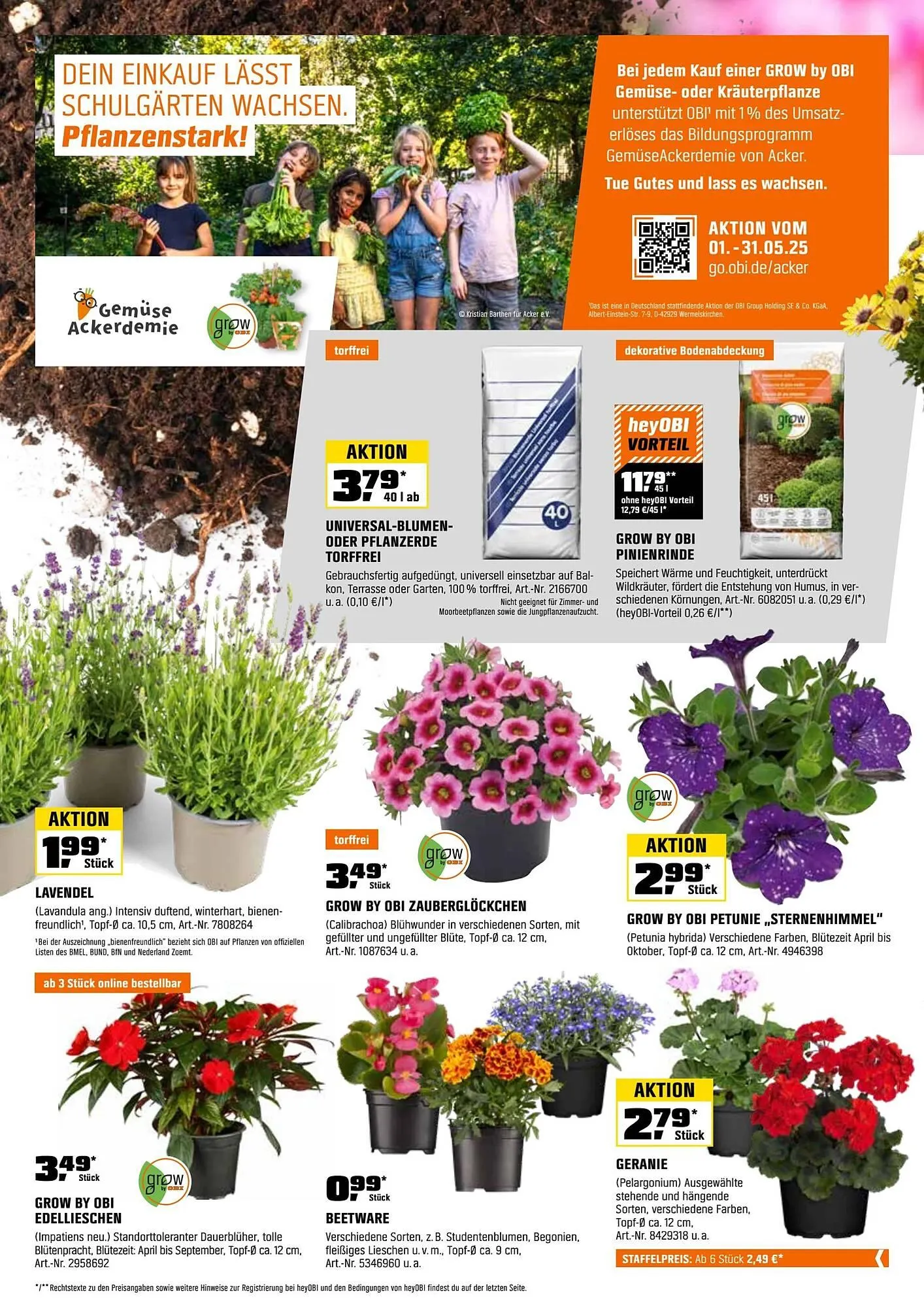 OBI Prospekt von 1. Mai bis 1. Juni 2025 - Prospekt seite 2