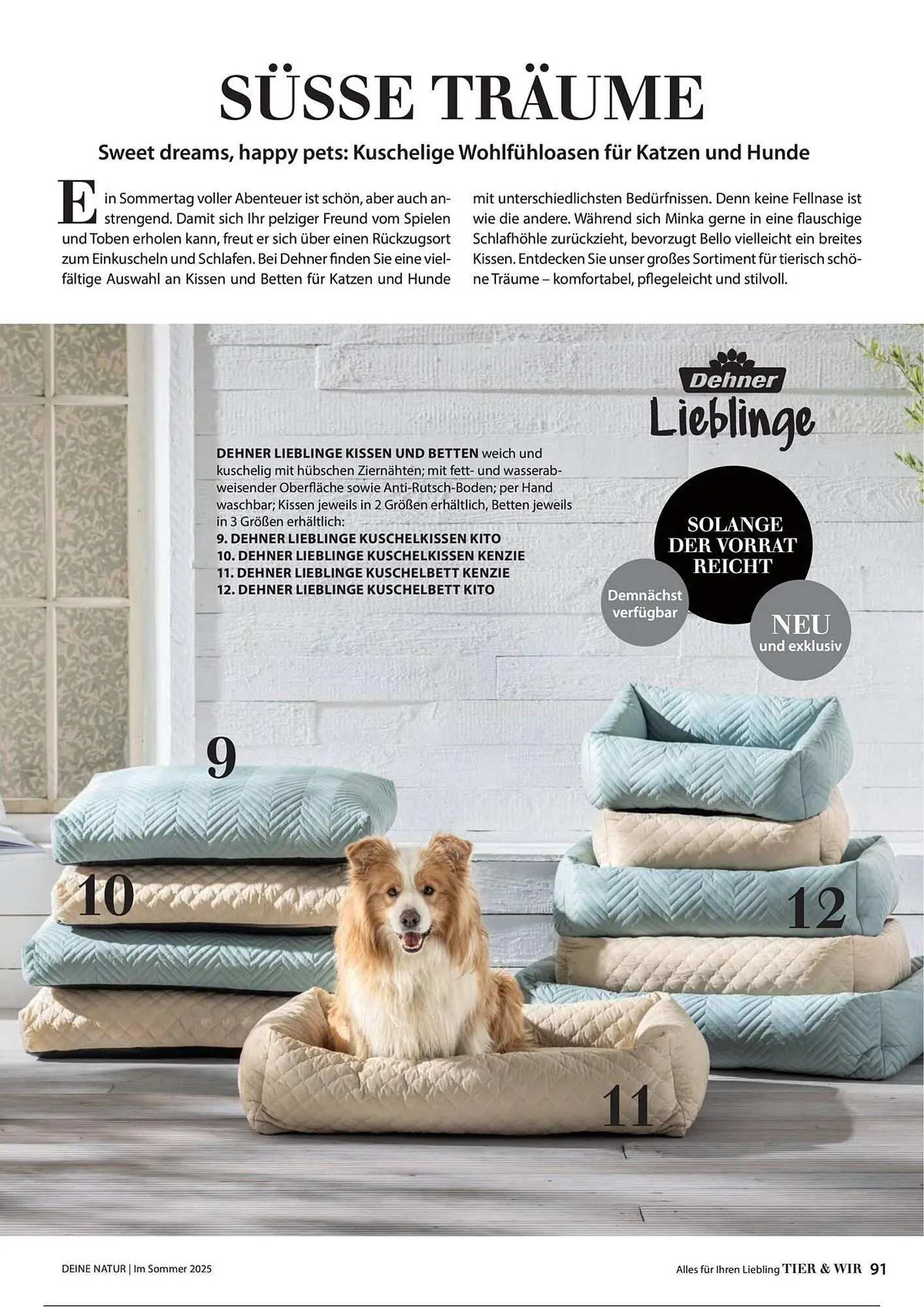 Dehner Prospekt von 1. Juli bis 31. Dezember 2025 - Prospekt seite 91