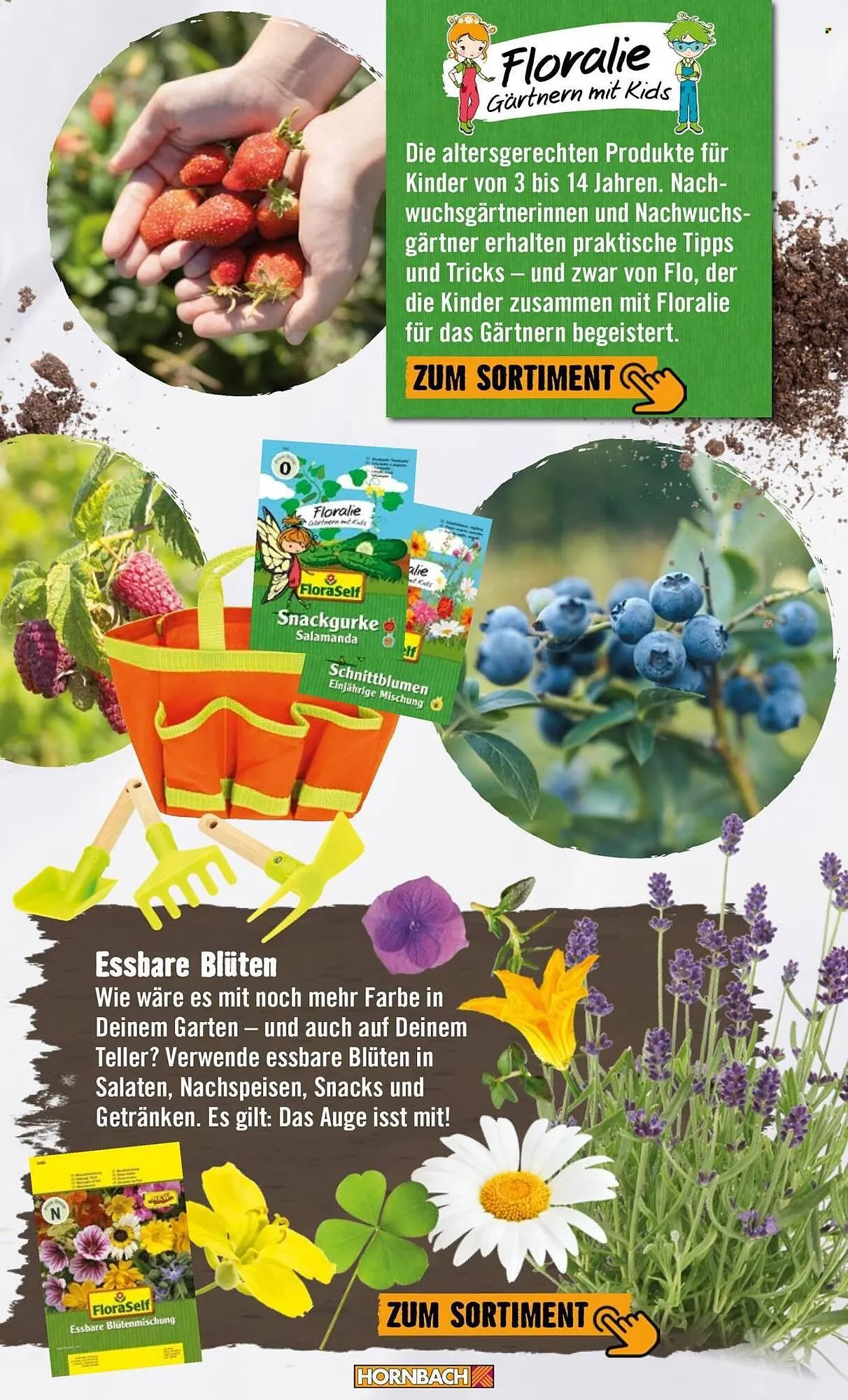 Hornbach Prospekt von 24. April bis 2. Mai 2026 - Prospekt seite 32