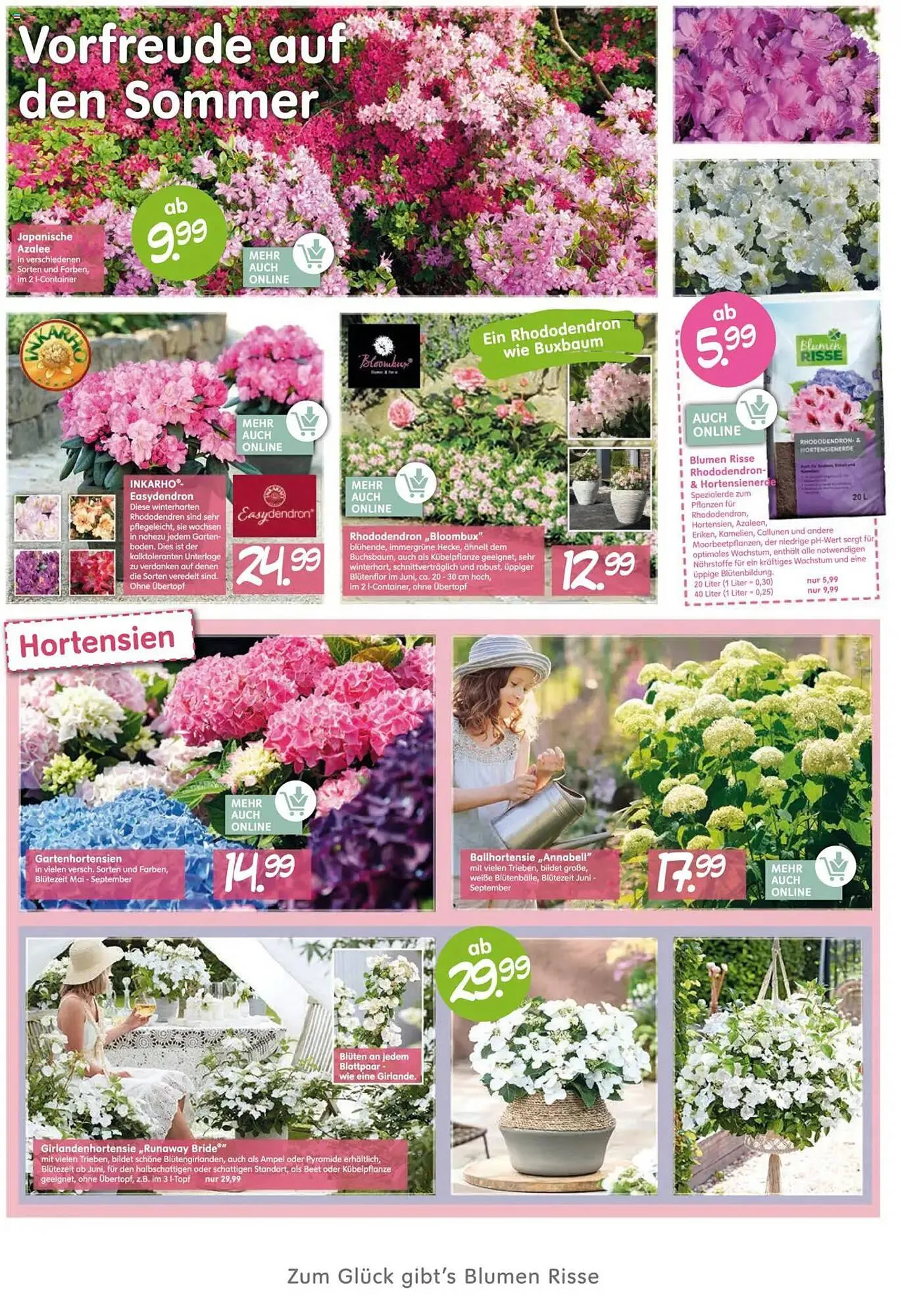 Blumen Risse Prospekt von 26. April bis 7. Mai 2025 - Prospekt seite 2