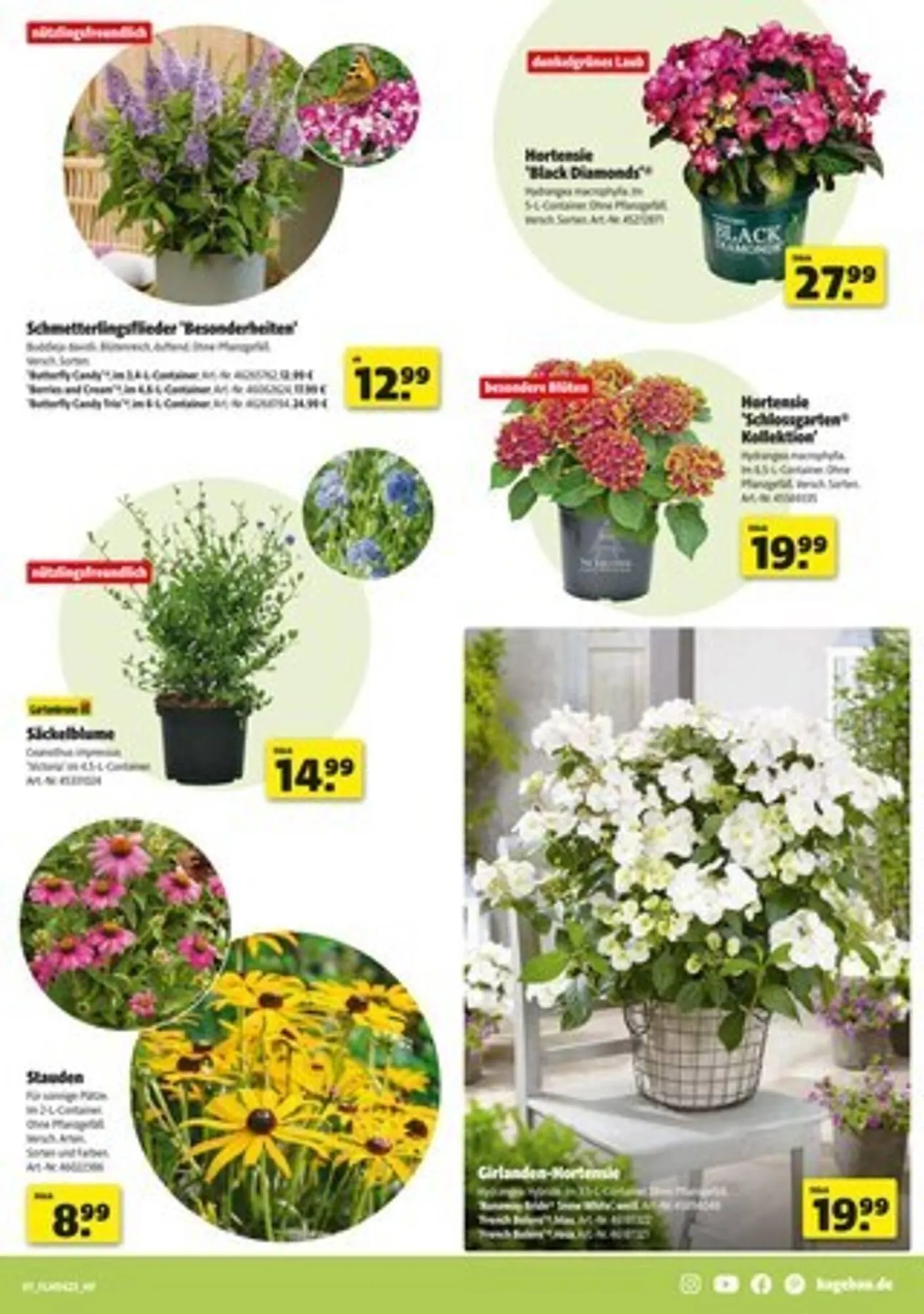 Hagebau Prospekt von 31. Mai bis 7. Juni 2025 - Prospekt seite 7