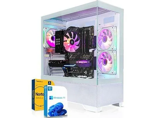 SYSTEMTREFF Basic Gaming AMD Ryzen 5 5500GT, Gaming PC mit AMD Ryzen™ 5 5500GT Prozessor, 16 GB RAM, 256 GB mSSD, AMD Radeon™ RX Vega 7, Windows 11 Pro (64 Bit)