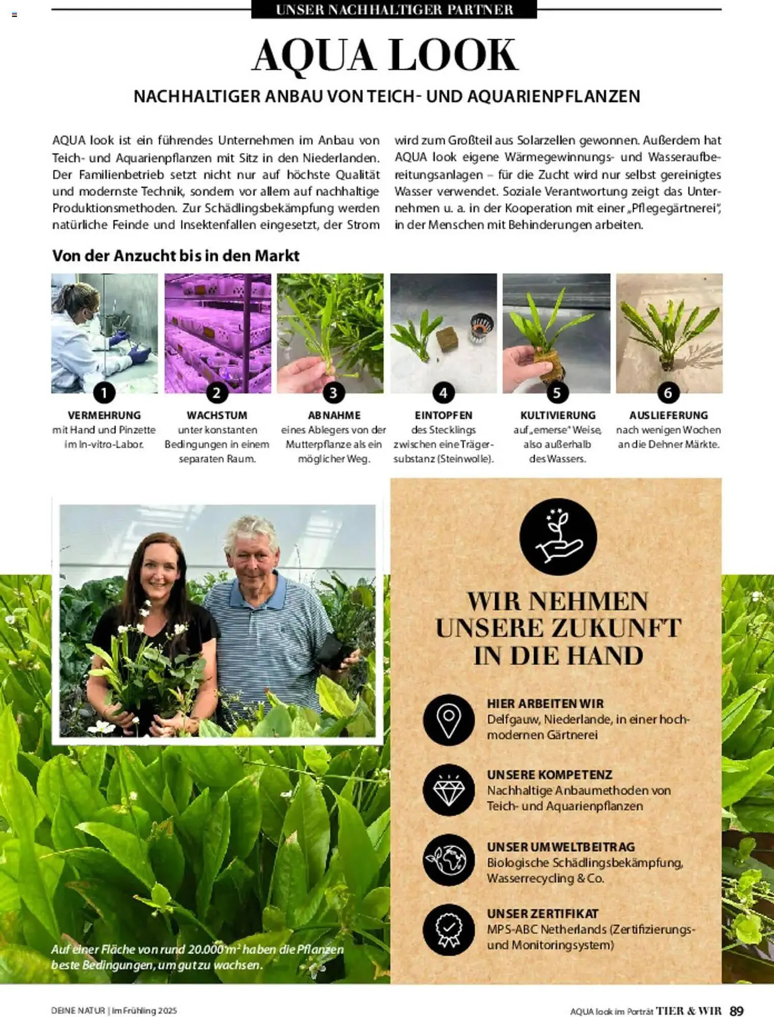 Dehner Prospekt von 6. März bis 9. Juni 2025 - Prospekt seite 89