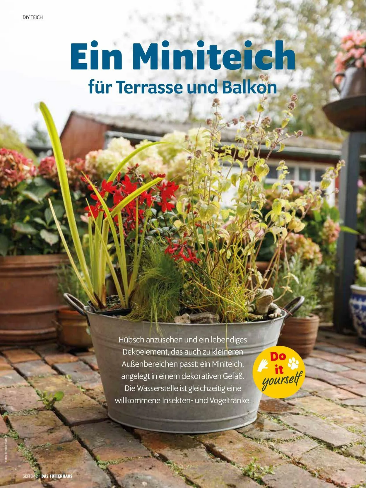 Futterhaus Aktueller Prospekt von 1. Mai bis 31. Mai 2025 - Prospekt seite 42