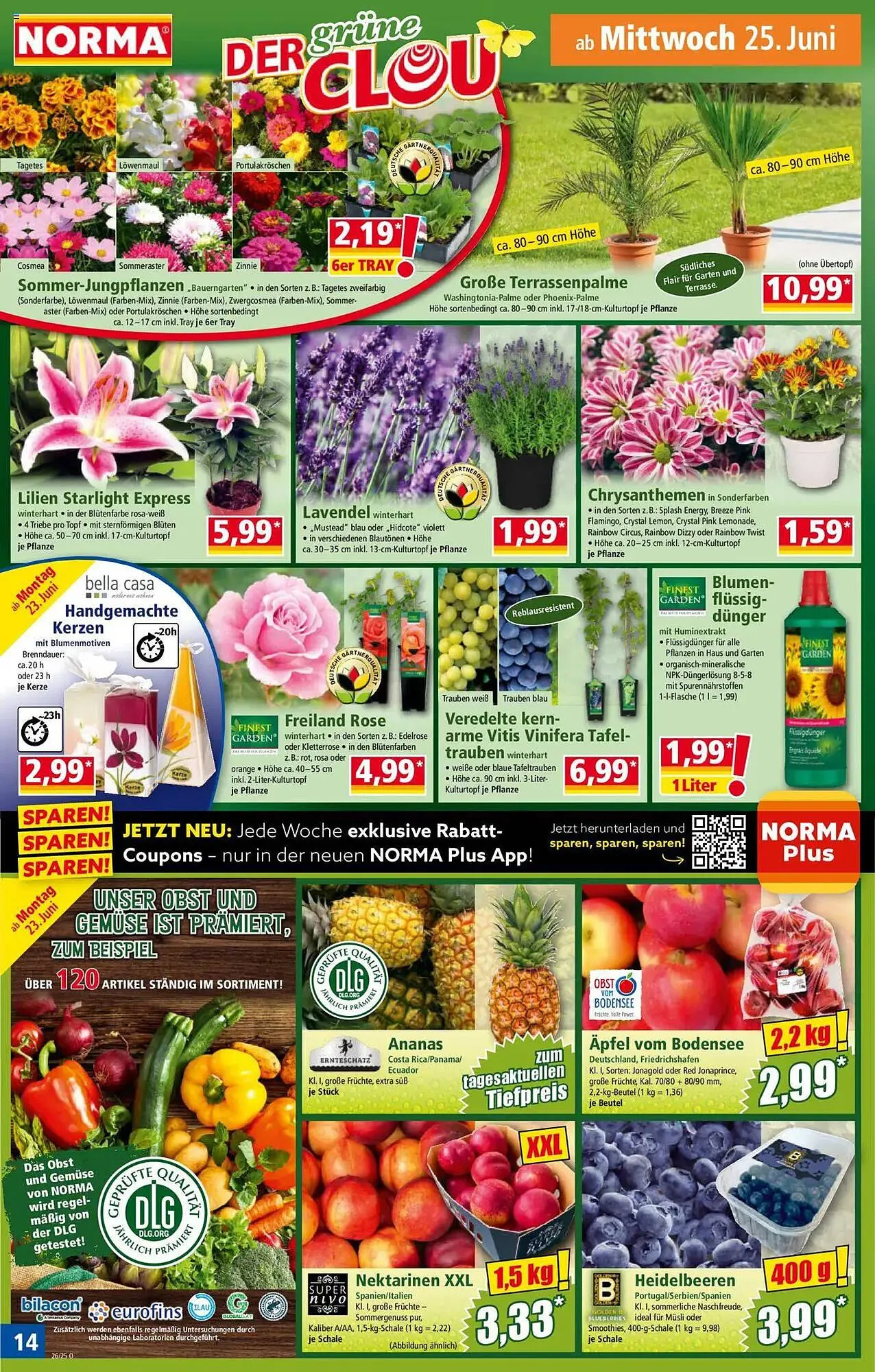 Norma Prospekt von 23. Juni bis 28. Juni 2025 - Prospekt seite 15
