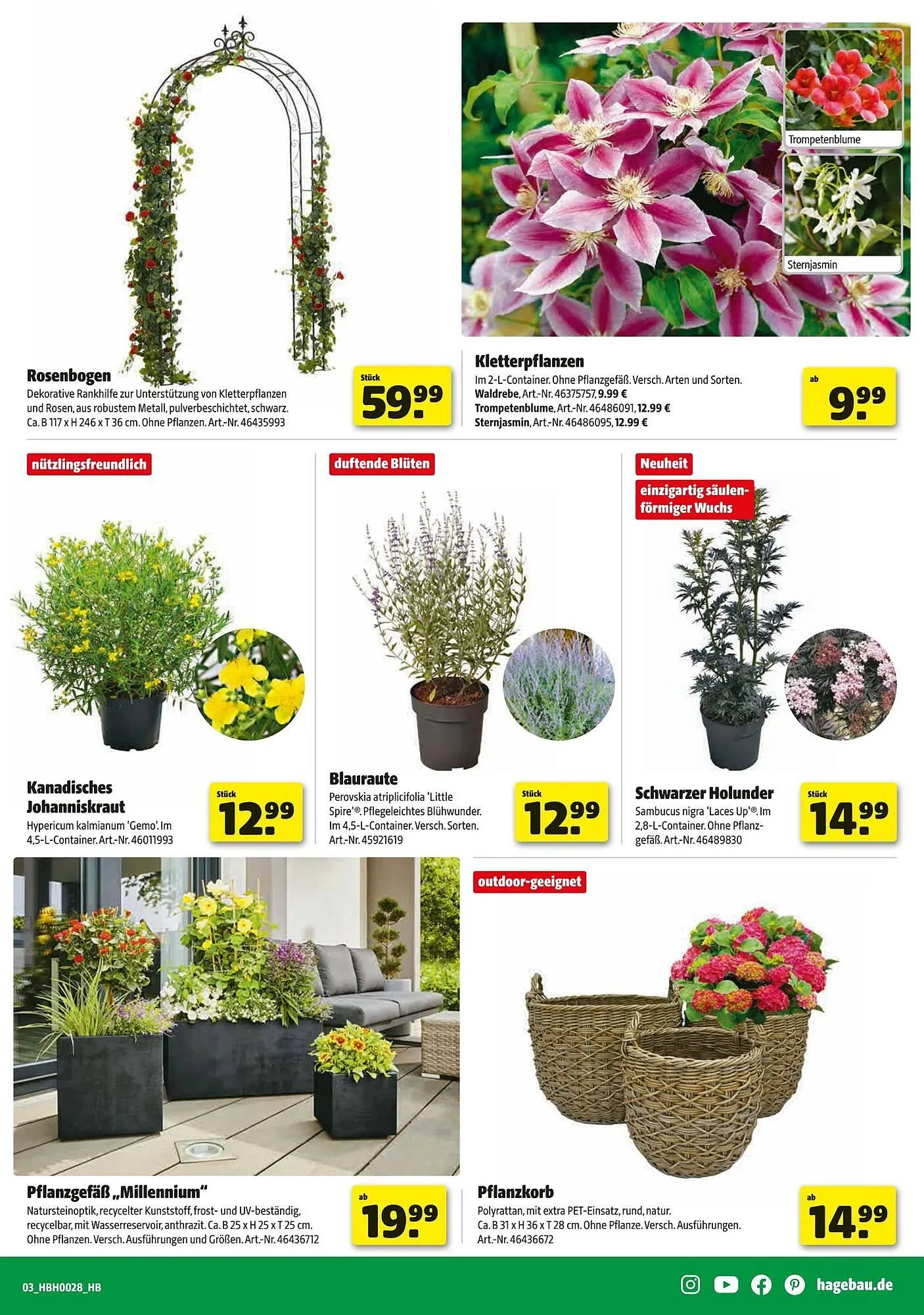 Hagebau Prospekt von 5. Juli bis 13. Juli 2025 - Prospekt seite 3