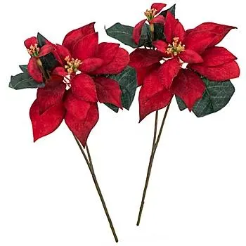 Weihnachtsstern, rot, 25 cm, 2 Stück