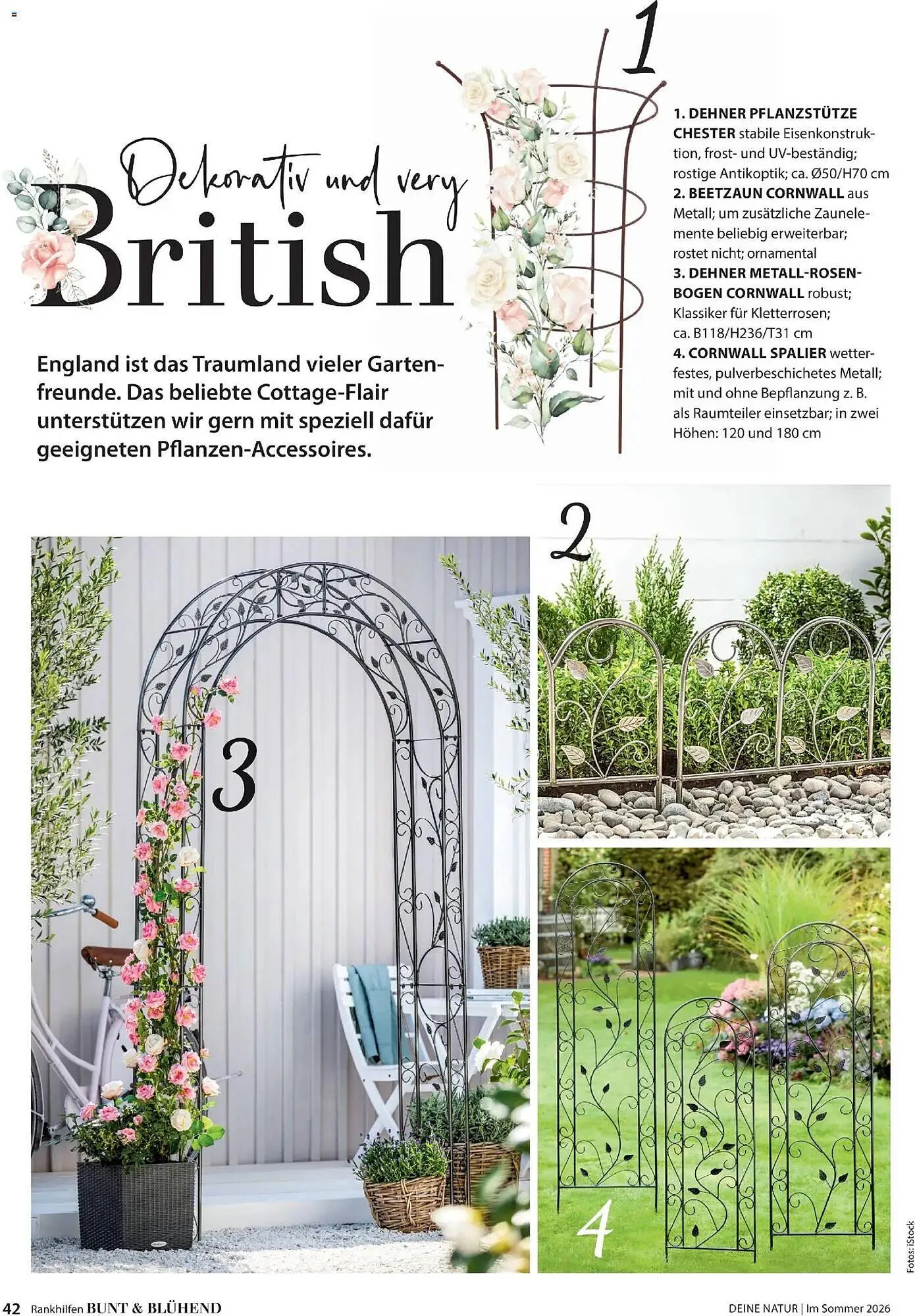 Dehner Prospekt von 17. April bis 31. August 2026 - Prospekt seite 42