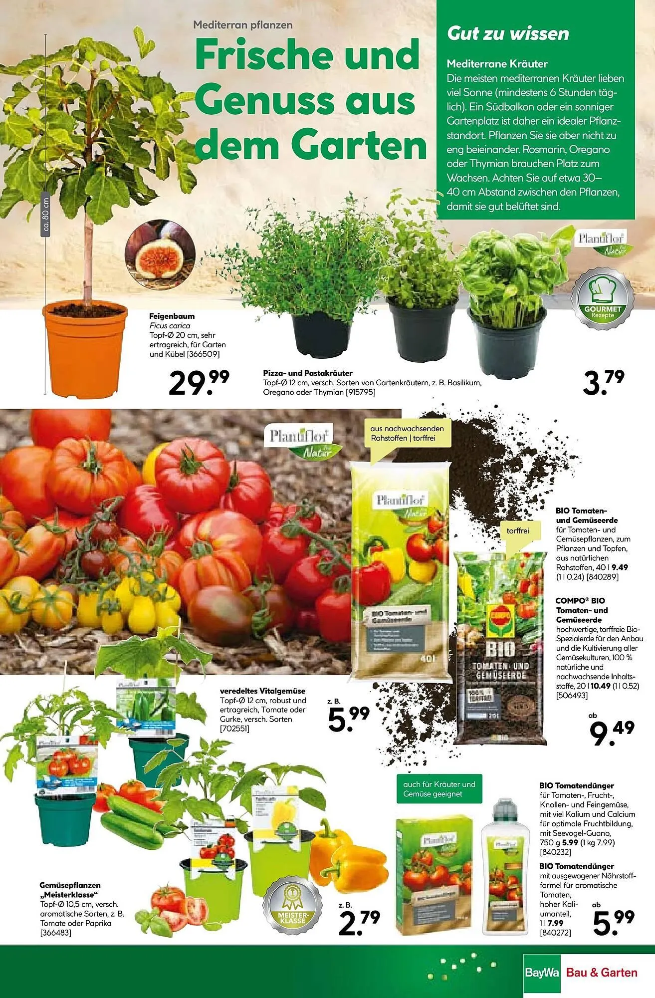 BayWa Bau & Garten Prospekt von 7. April bis 12. April 2026 - Prospekt seite 13