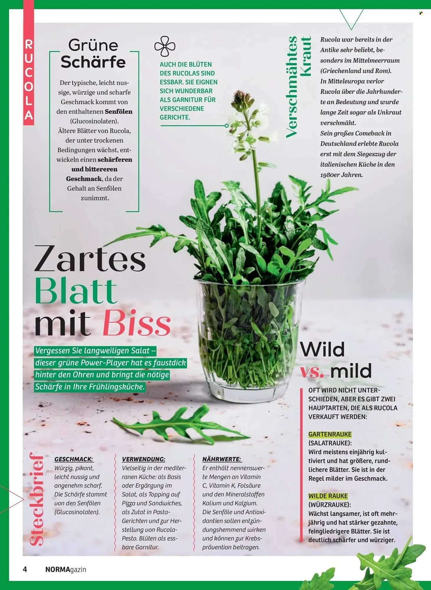 Norma Magazin von 1. März bis 30. April 2026 - Prospekt seite 4