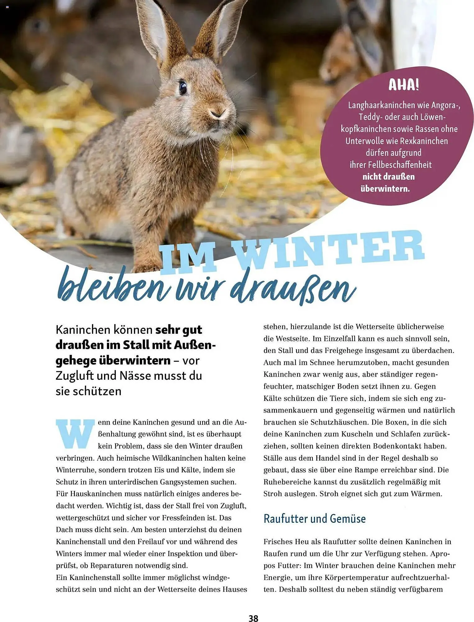 Fressnapf Magazin von 1. November bis 31. Dezember 2025 - Prospekt seite 38