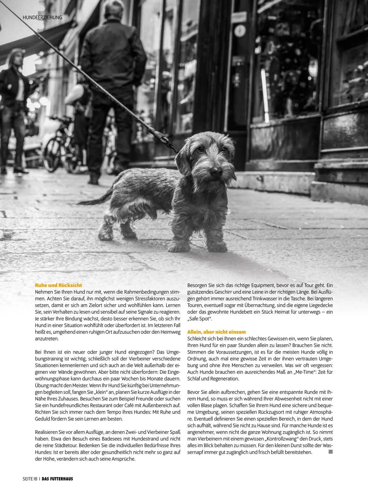 Futterhaus Aktueller Prospekt von 1. August bis 31. August 2025 - Prospekt seite 18