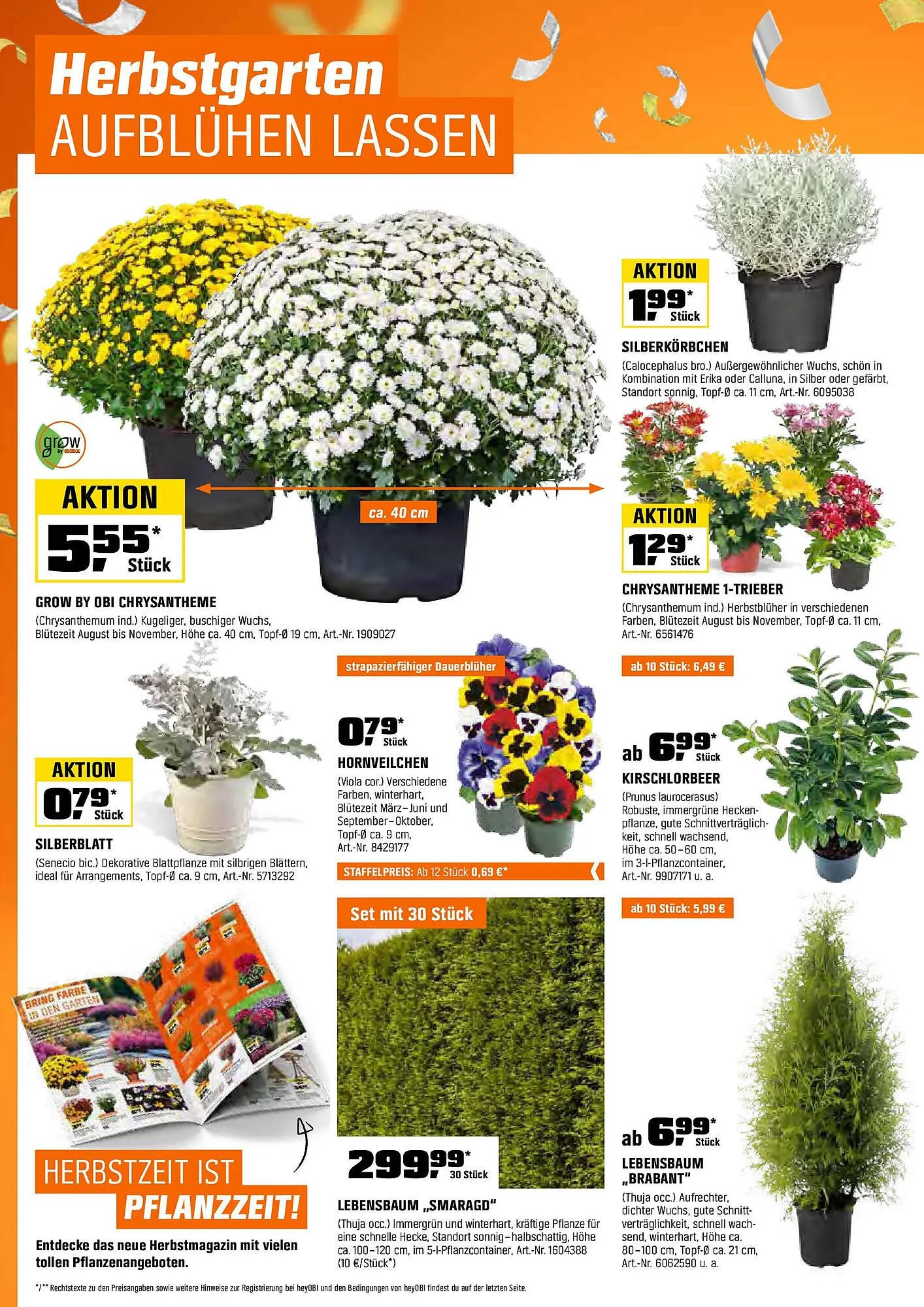 OBI Prospekt von 30. September bis 15. Oktober 2025 - Prospekt seite 6