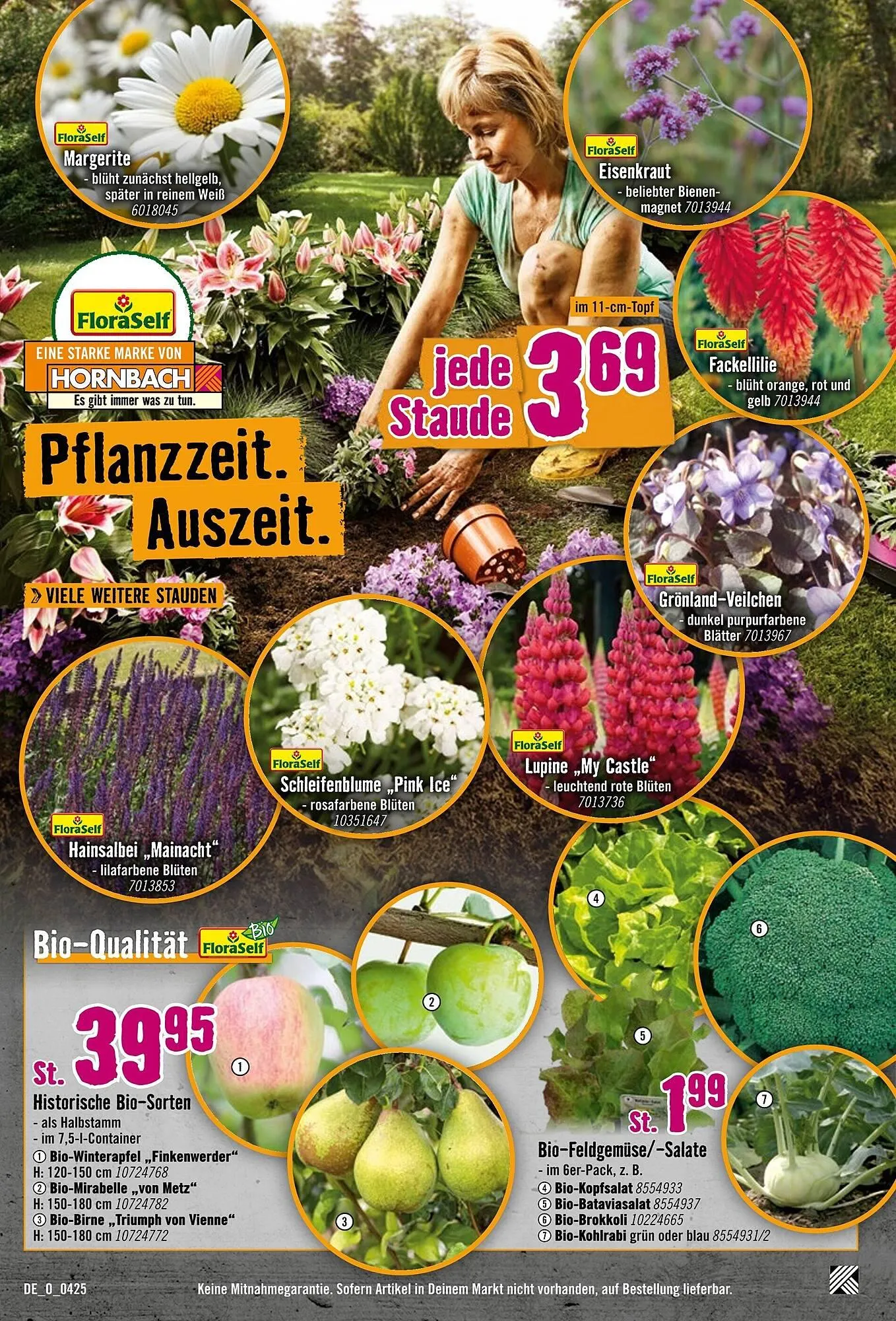 Hornbach Prospekt von 9. April bis 6. Mai 2025 - Prospekt seite 3