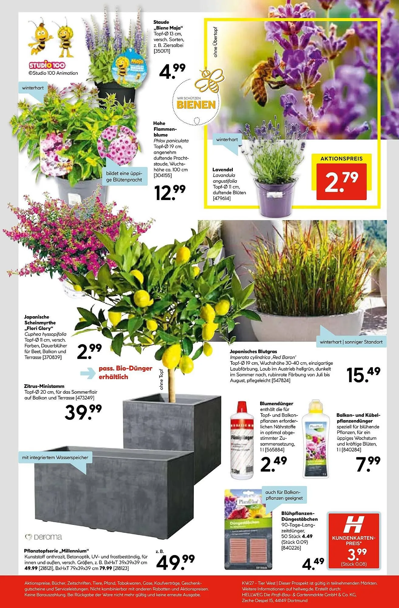 Hellweg Prospekt von 30. Juni bis 5. Juli 2025 - Prospekt seite 23