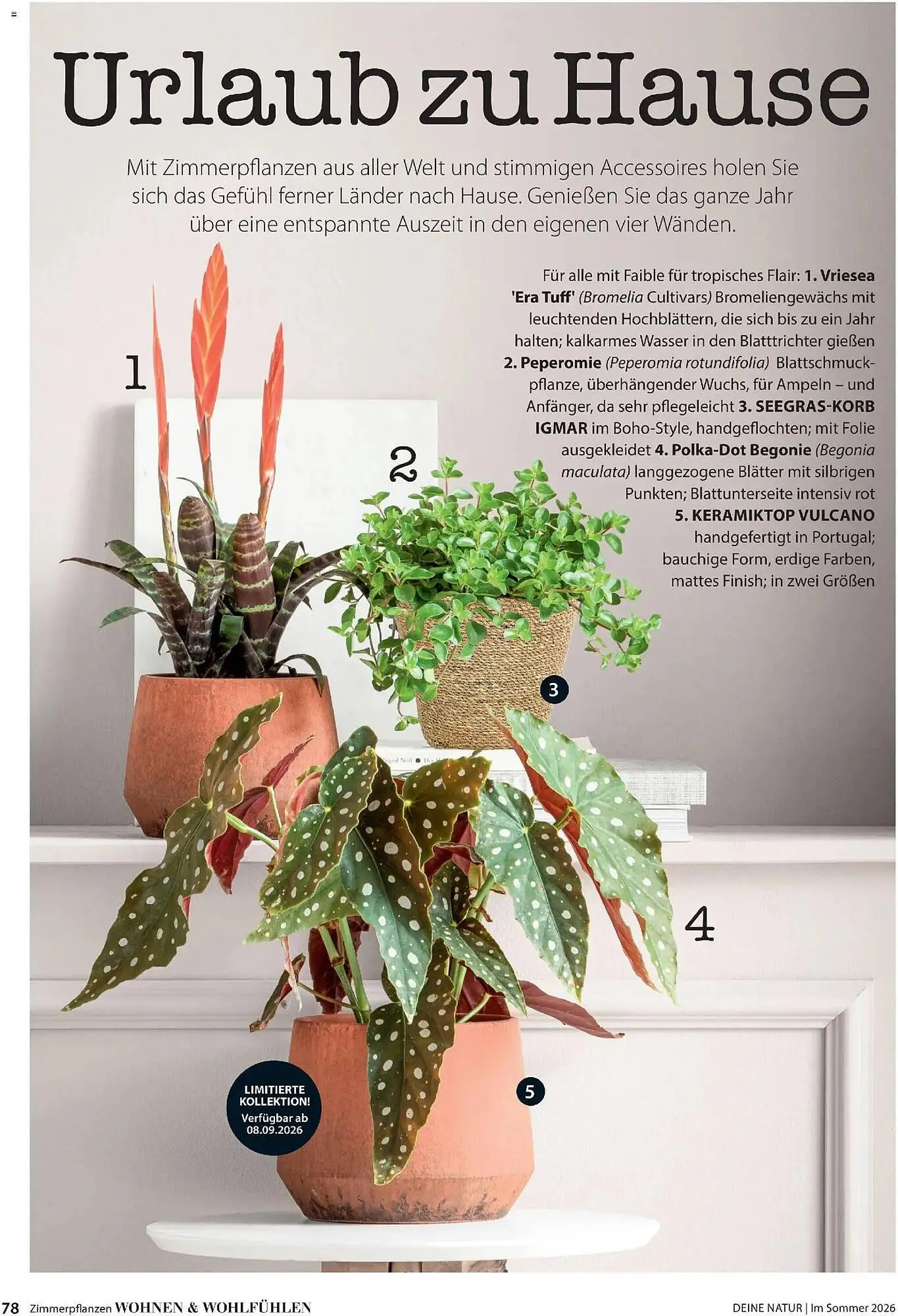 Dehner Prospekt von 17. April bis 31. August 2026 - Prospekt seite 78