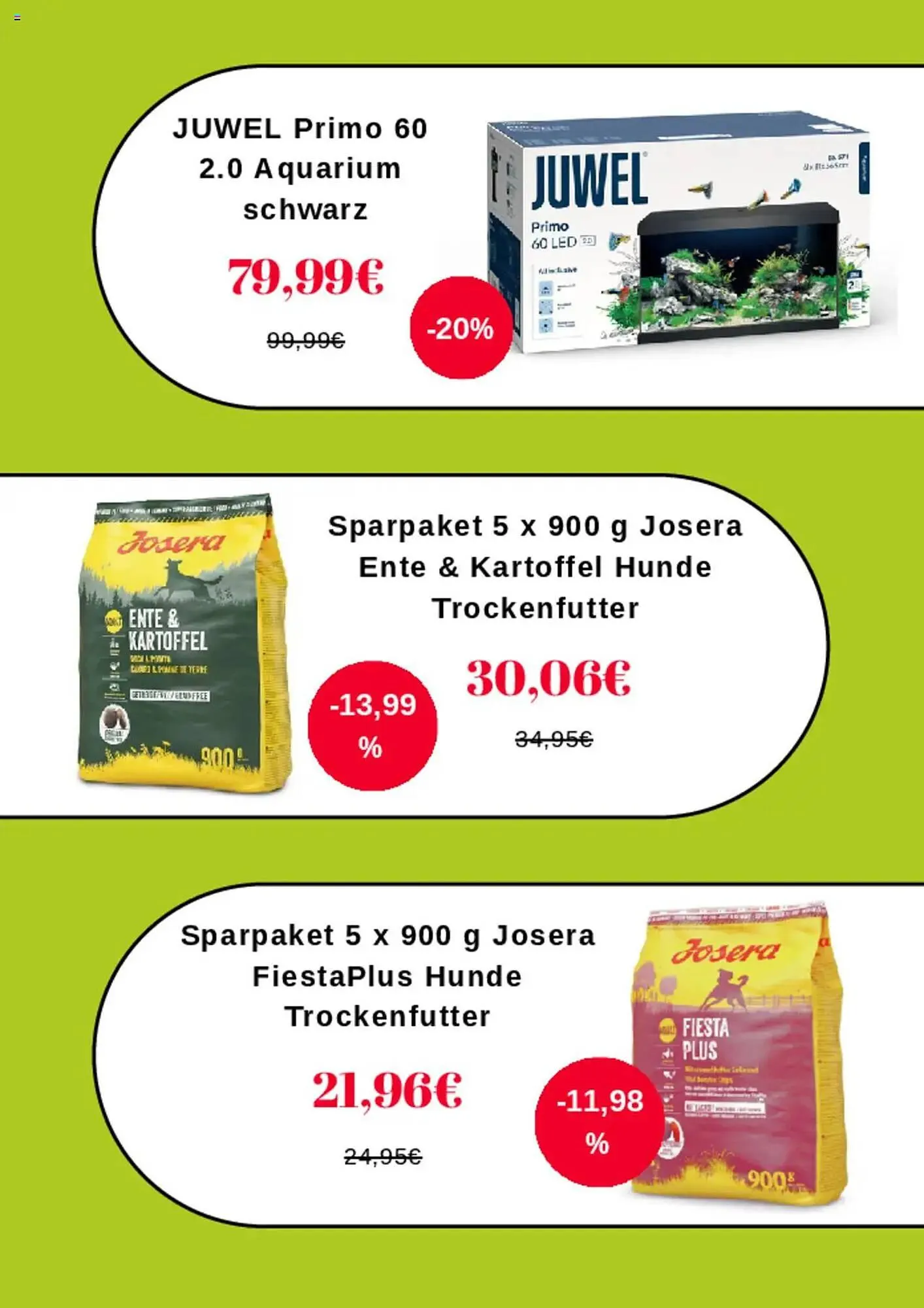 Kölle Zoo Prospekt von 6. März bis 31. März 2025 - Prospekt seite 2