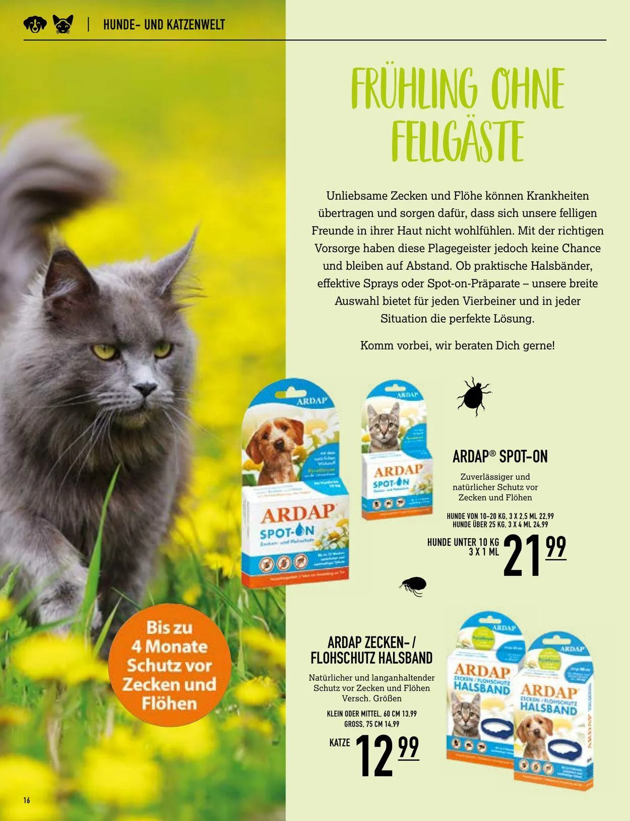 Kölle Zoo Aktueller Prospekt von 30. April bis 14. Mai 2025 - Prospekt seite 16