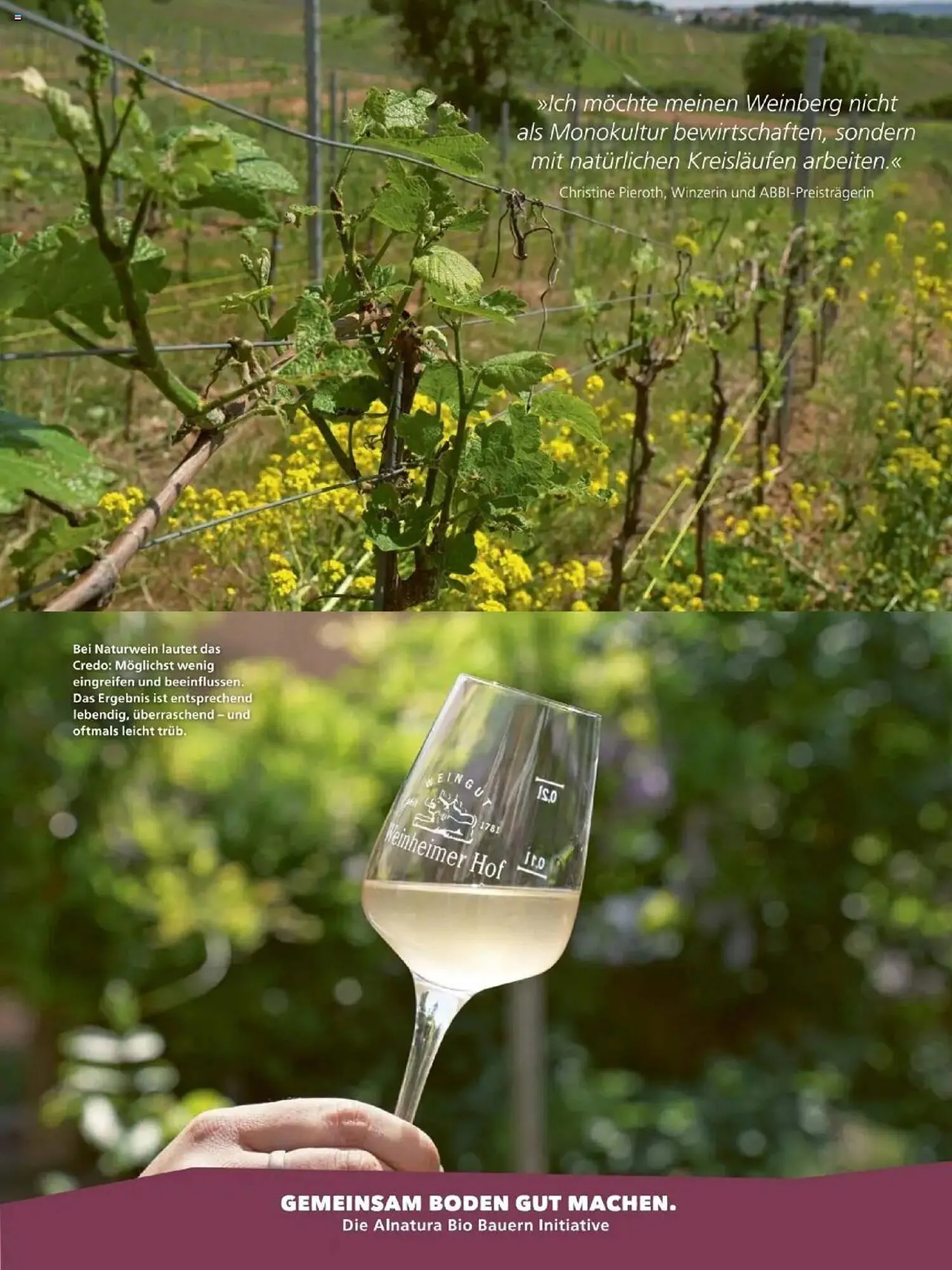 Alnatura Prospekt von 1. Oktober bis 31. Oktober 2025 - Prospekt seite 35