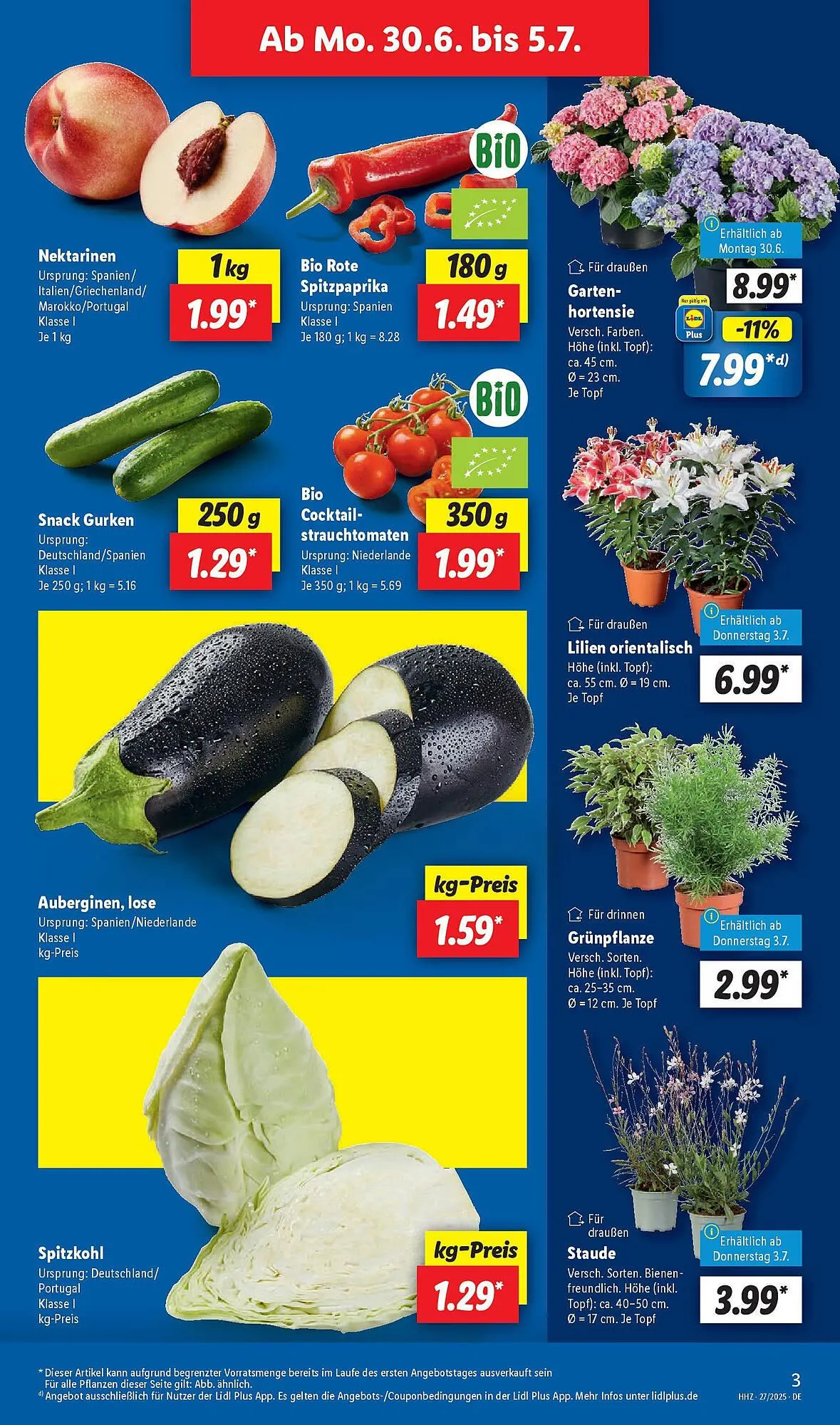 Lidl Prospekt von 29. Juni bis 5. Juli 2025 - Prospekt seite 3