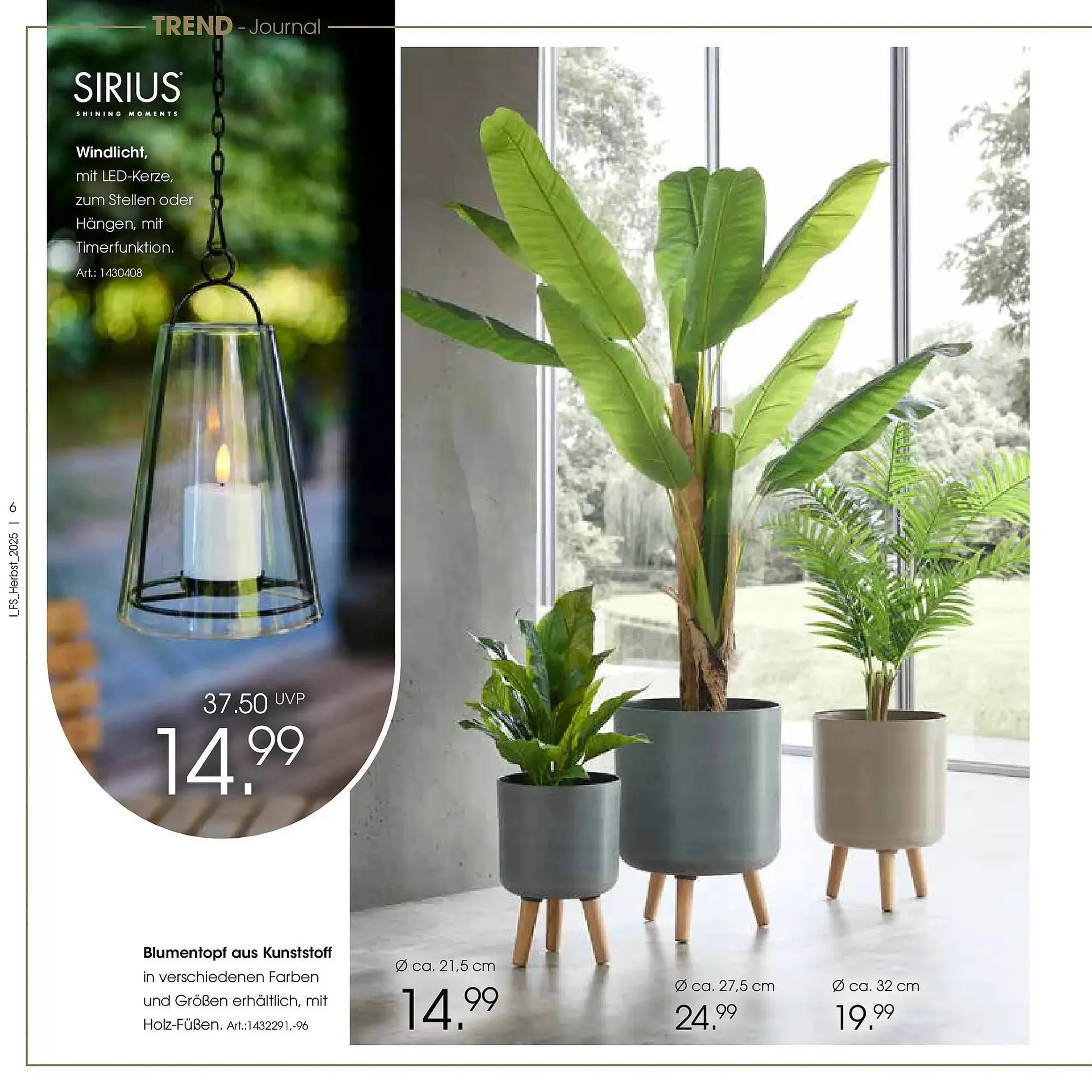 Zurbrüggen Prospekt von 19. Oktober bis 31. Januar 2026 - Prospekt seite 6