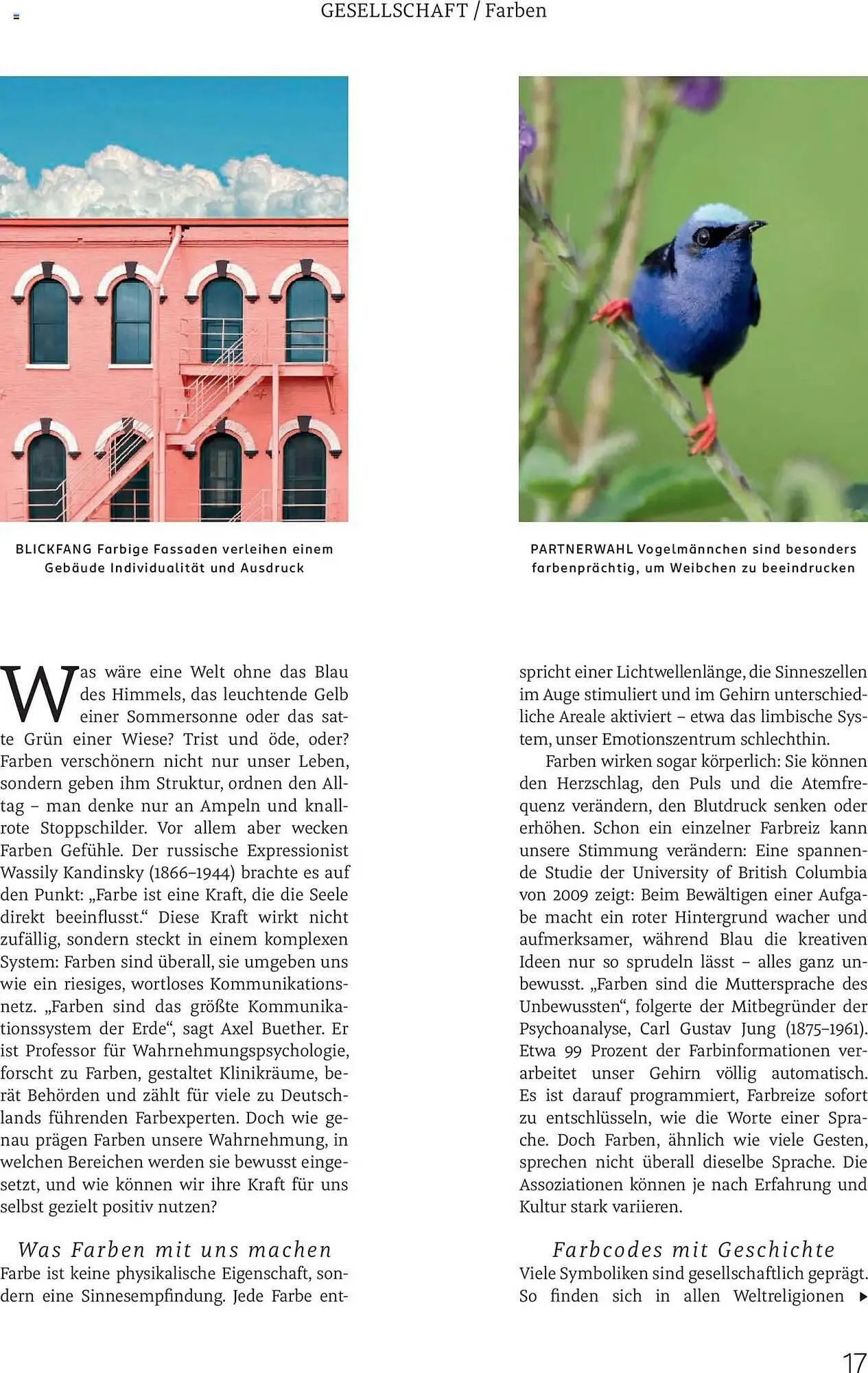 Rossmann Prospekt von 1. August bis 31. August 2025 - Prospekt seite 17