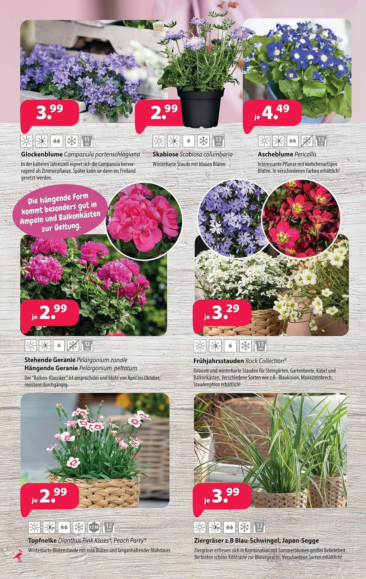 Kiebitzmarkt Prospekt von 4. April bis 11. April 2026 - Prospekt seite 6