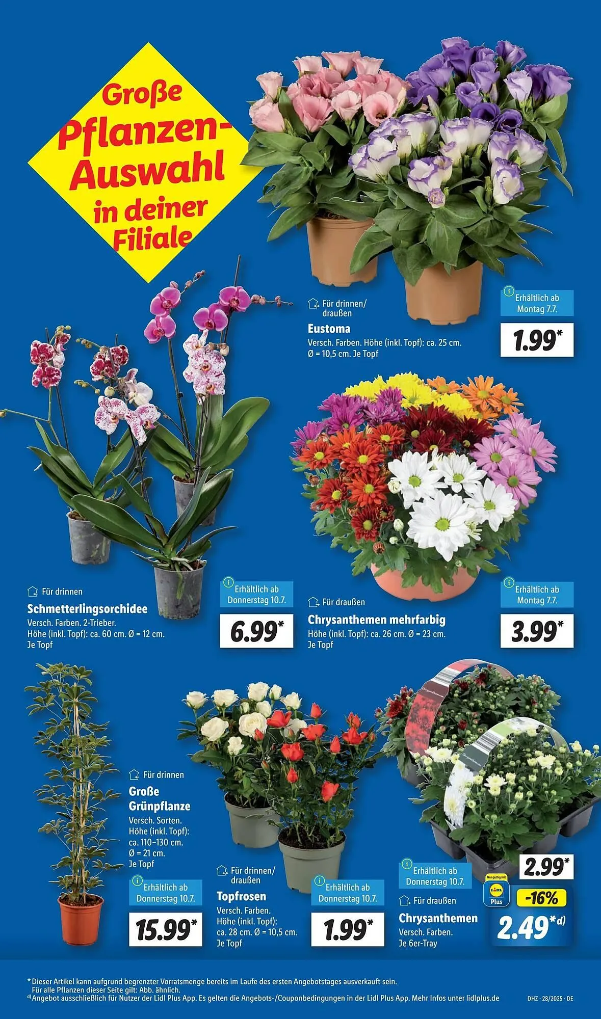 Lidl Prospekt von 7. Juli bis 12. Juli 2025 - Prospekt seite 5