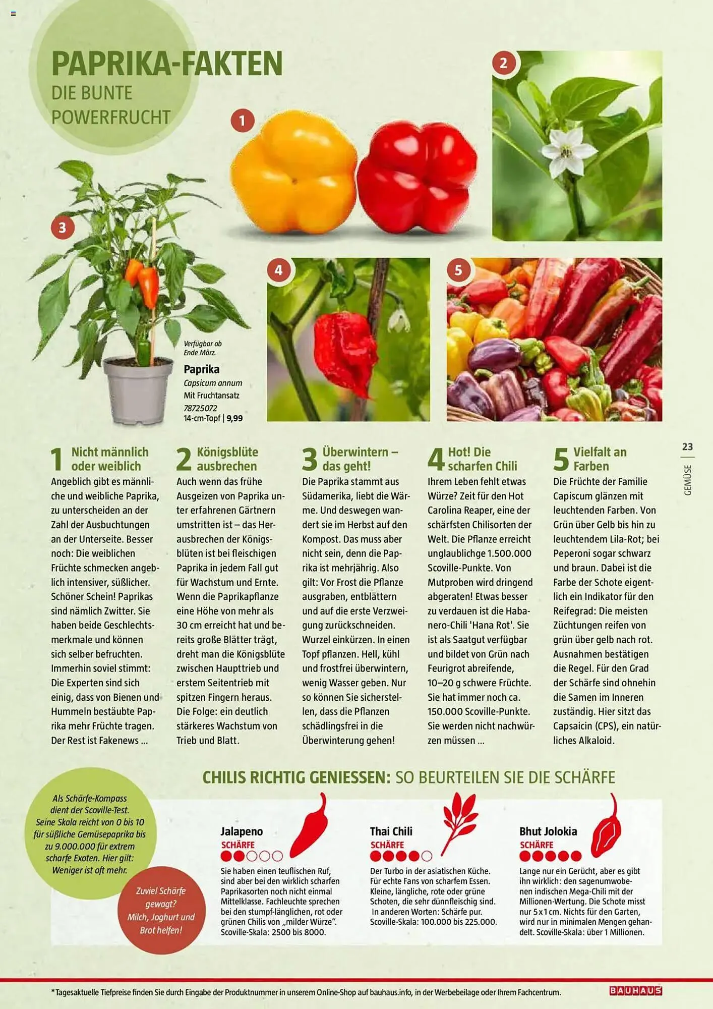 Bauhaus Prospekt von 20. Januar bis 30. Juni 2025 - Prospekt seite 23