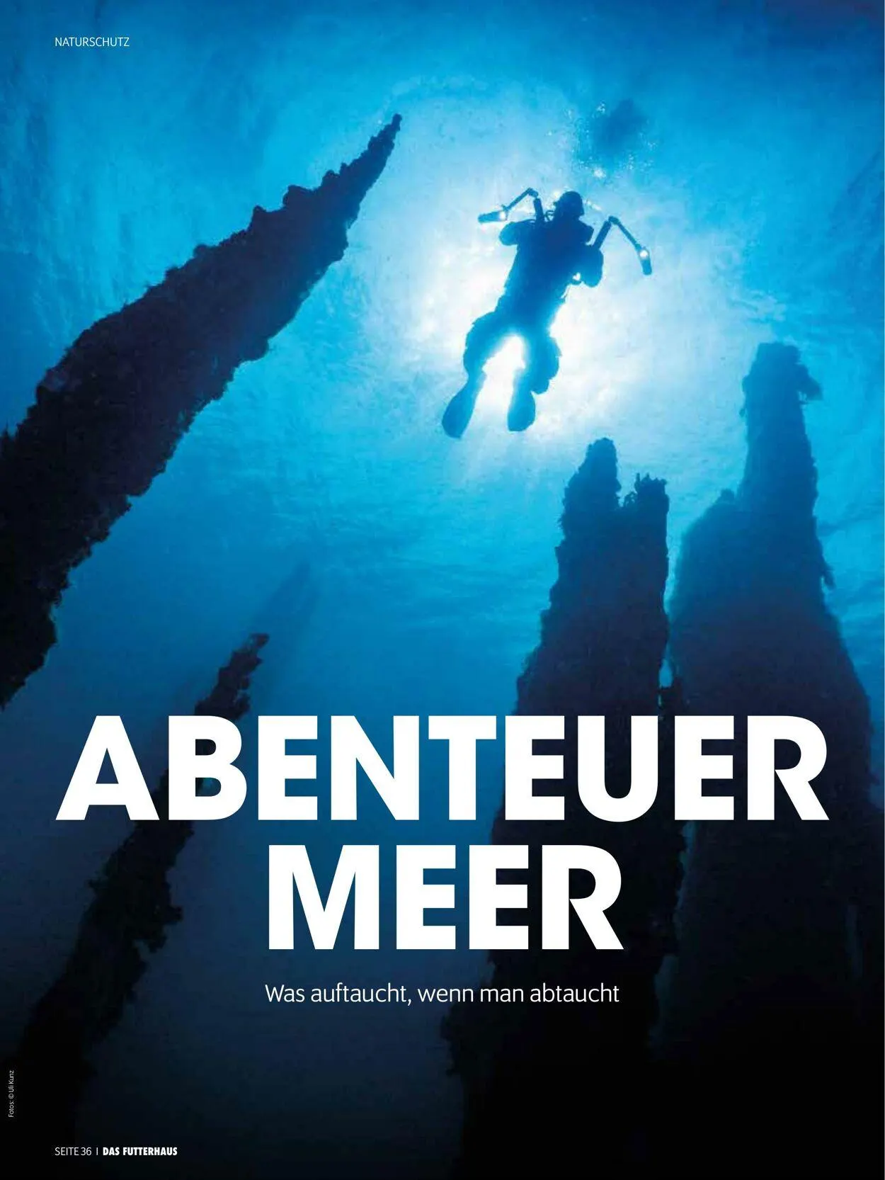 Futterhaus Aktueller Prospekt von 1. Mai bis 31. Mai 2025 - Prospekt seite 36