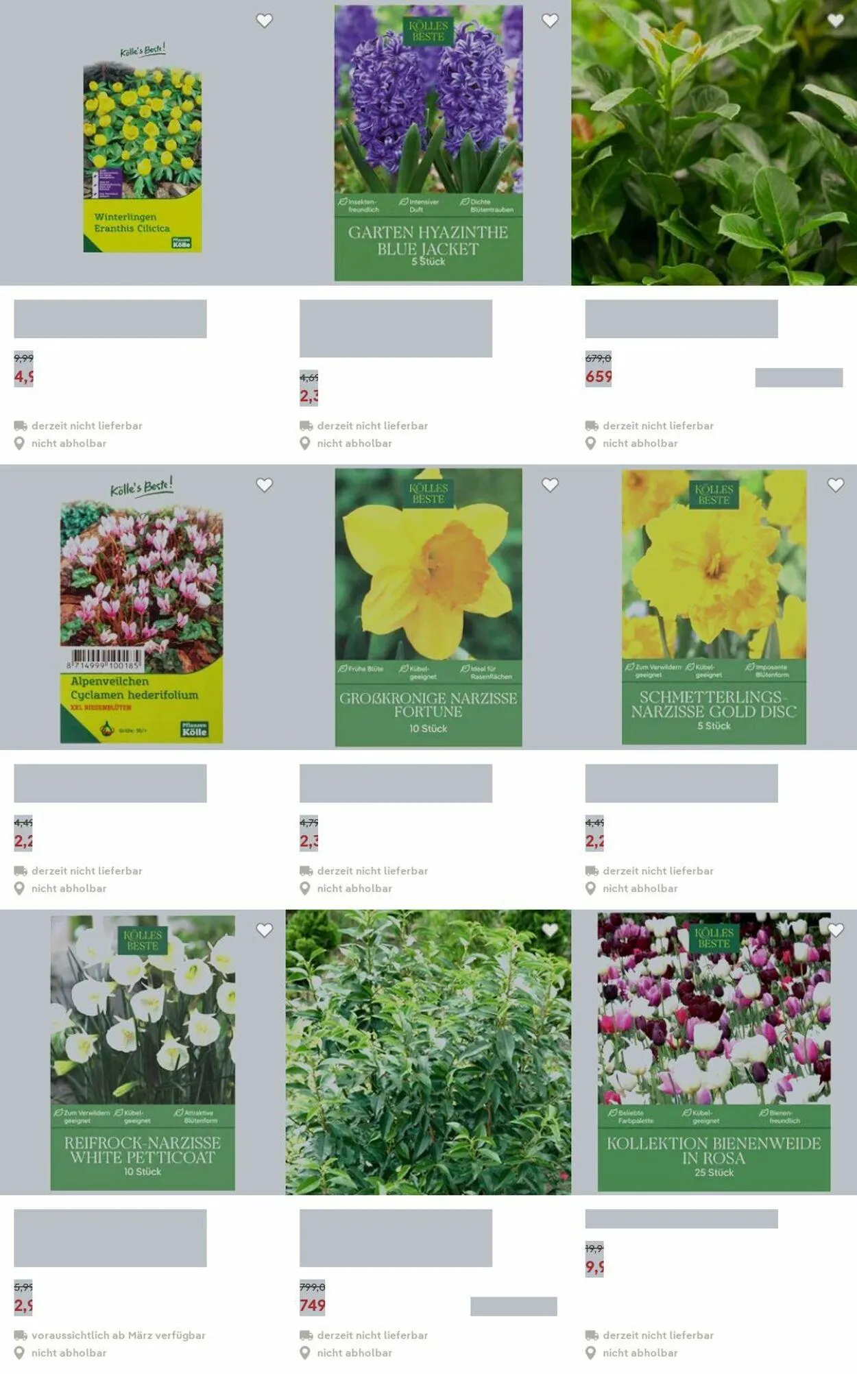 Pflanzen-Kölle Aktueller Prospekt von 15. Dezember bis 24. Dezember 2025 - Prospekt seite 24
