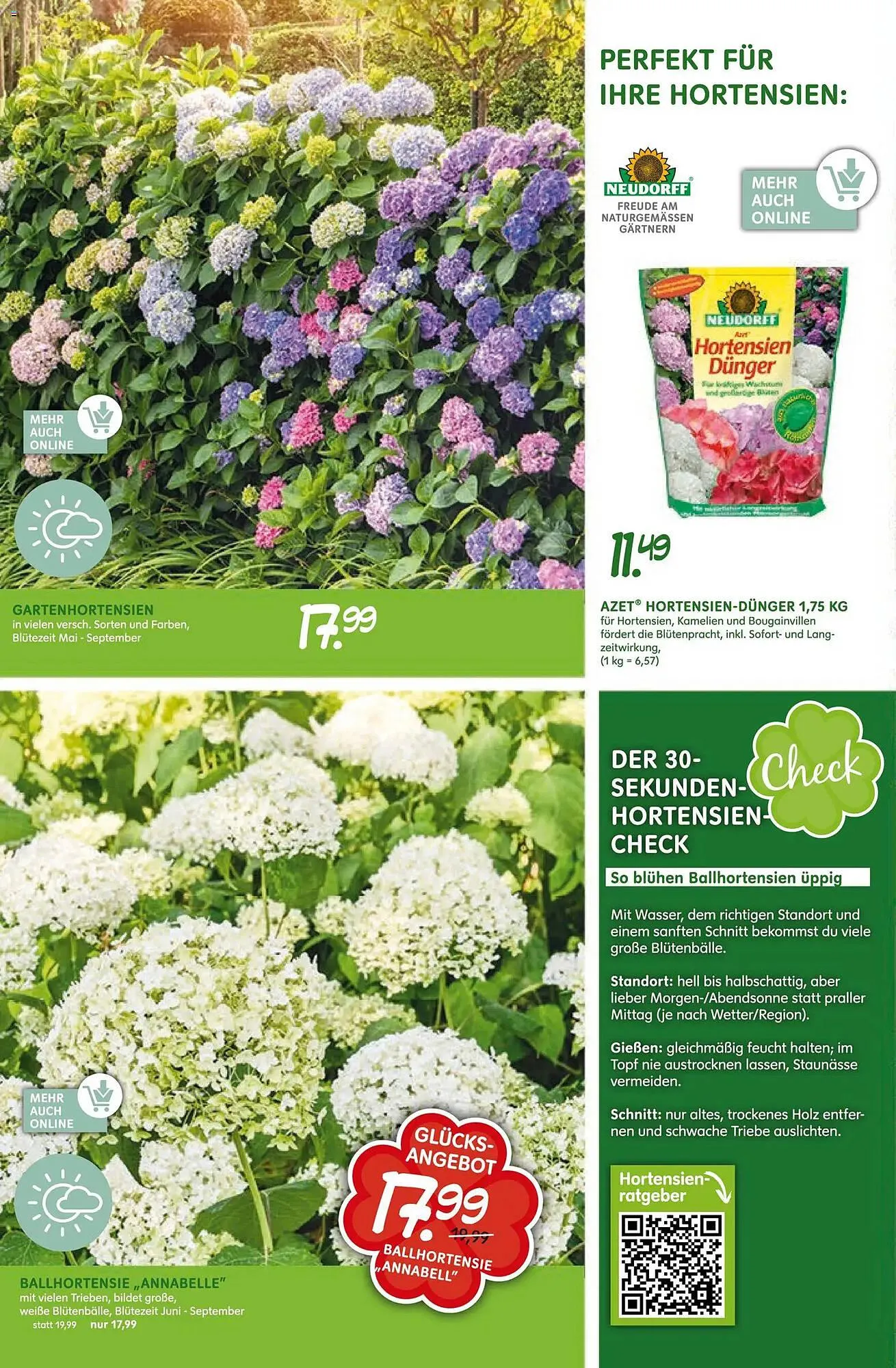 Blumen Risse Prospekt von 16. April bis 26. April 2026 - Prospekt seite 10