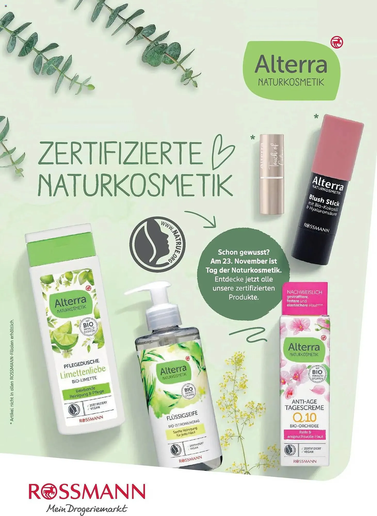 Rossmann Magazin von 1. November bis 30. November 2025 - Prospekt seite 7